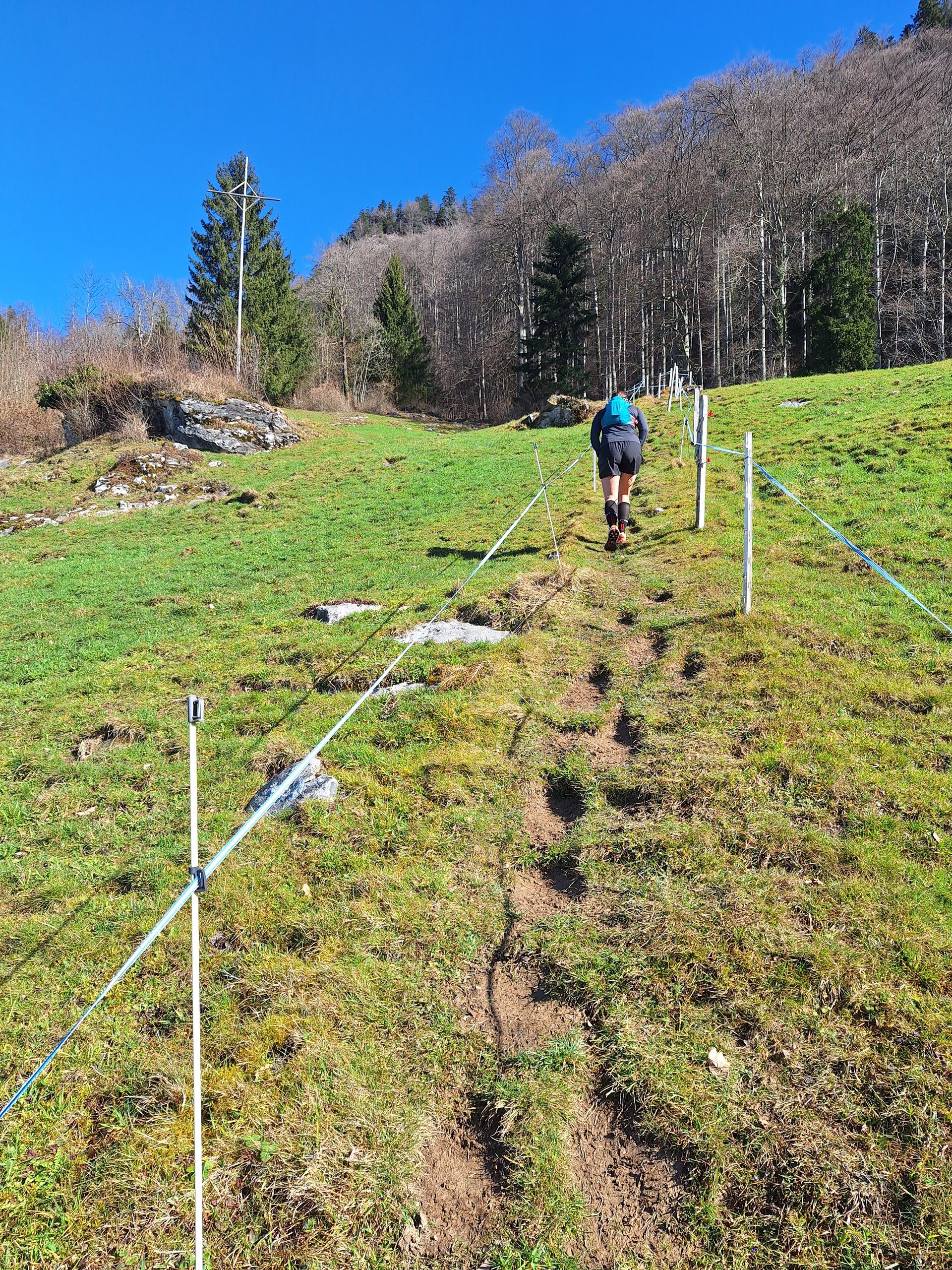 Bürgenstock – Grandiose Runde ab Fürigen – Bild 2
