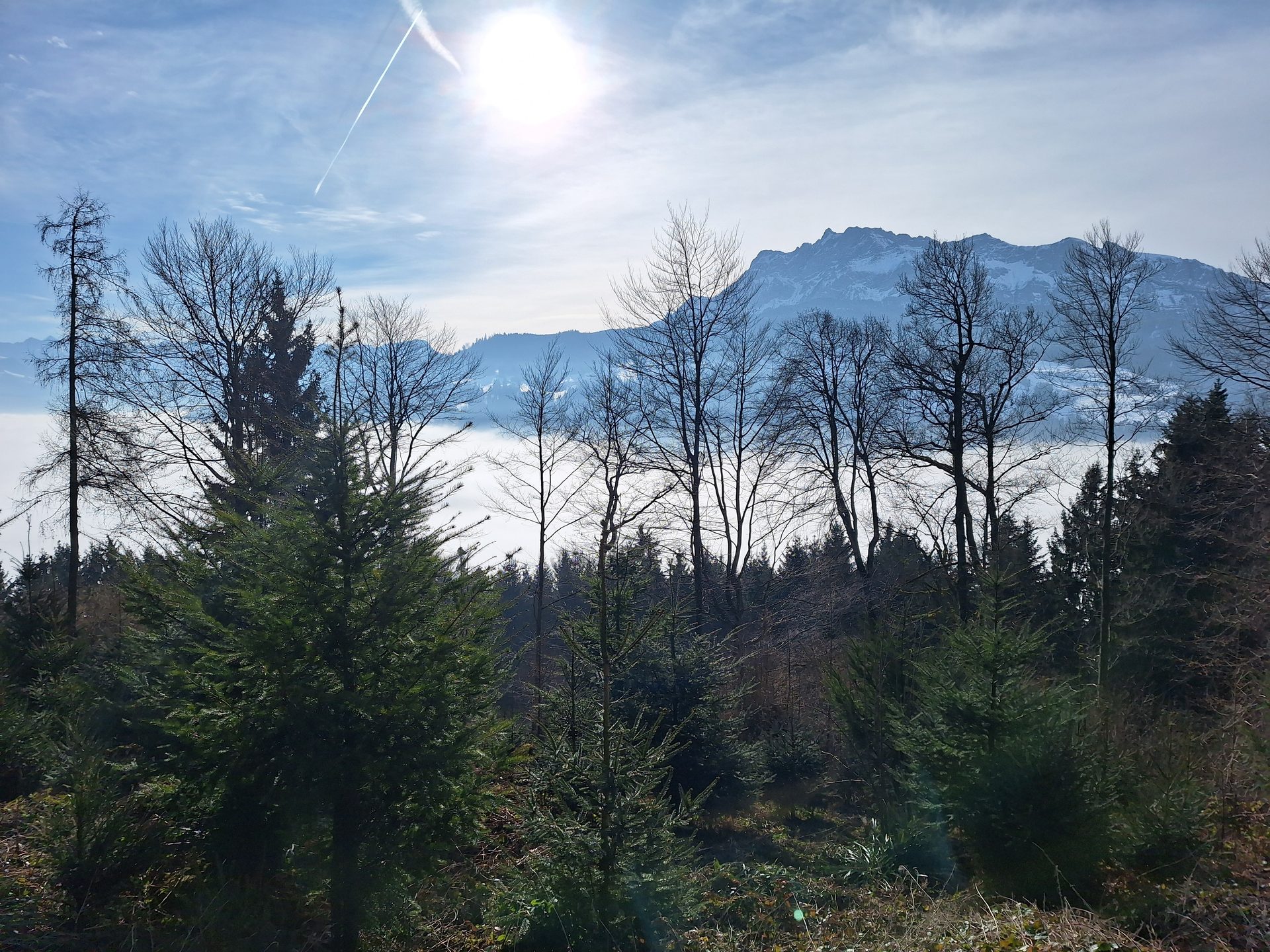 Chrüzhubel – Winterlauf vor der Haustüre – Bild 3