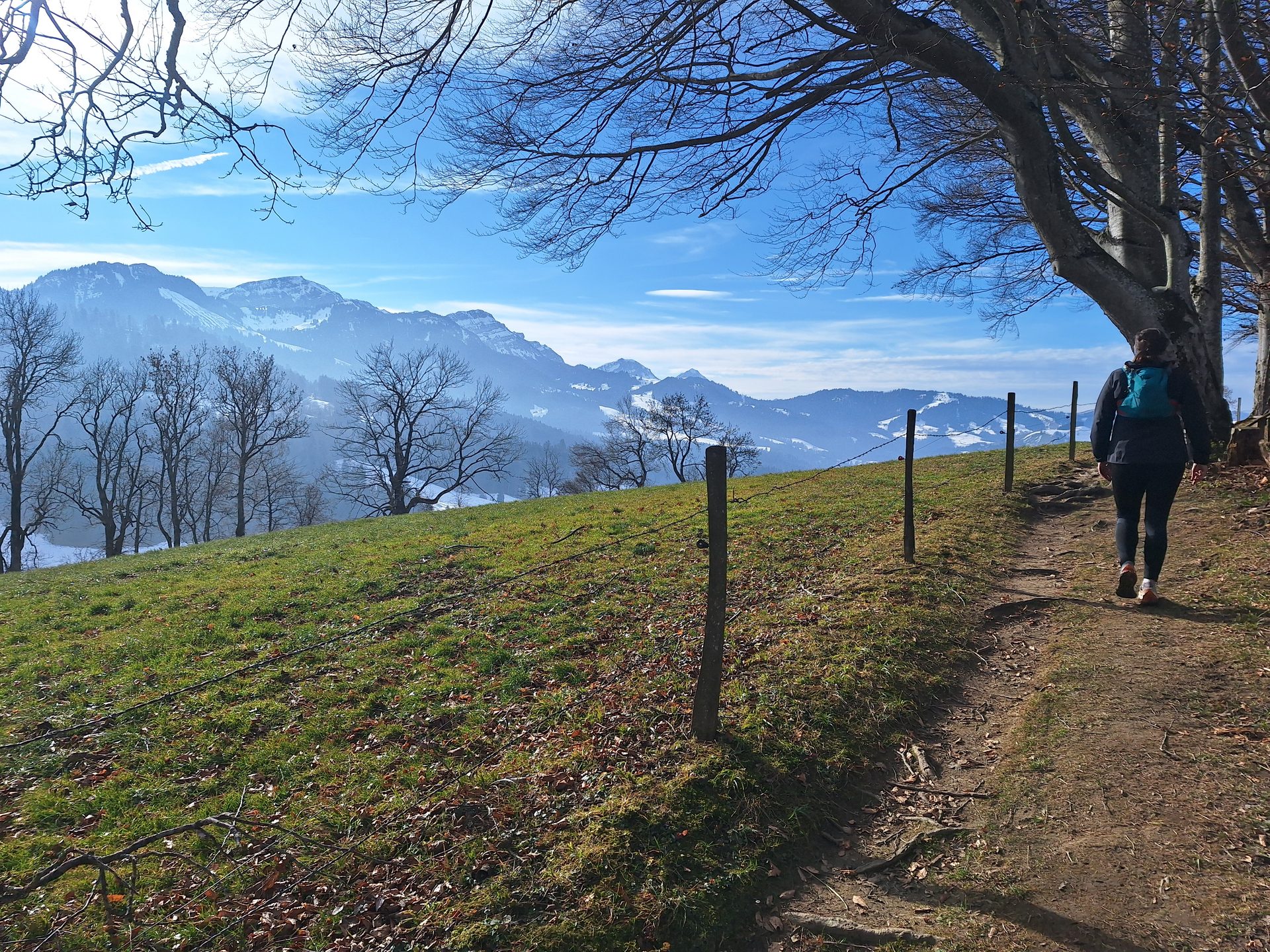 Chrüzhubel – Winterlauf vor der Haustüre – Bild 8