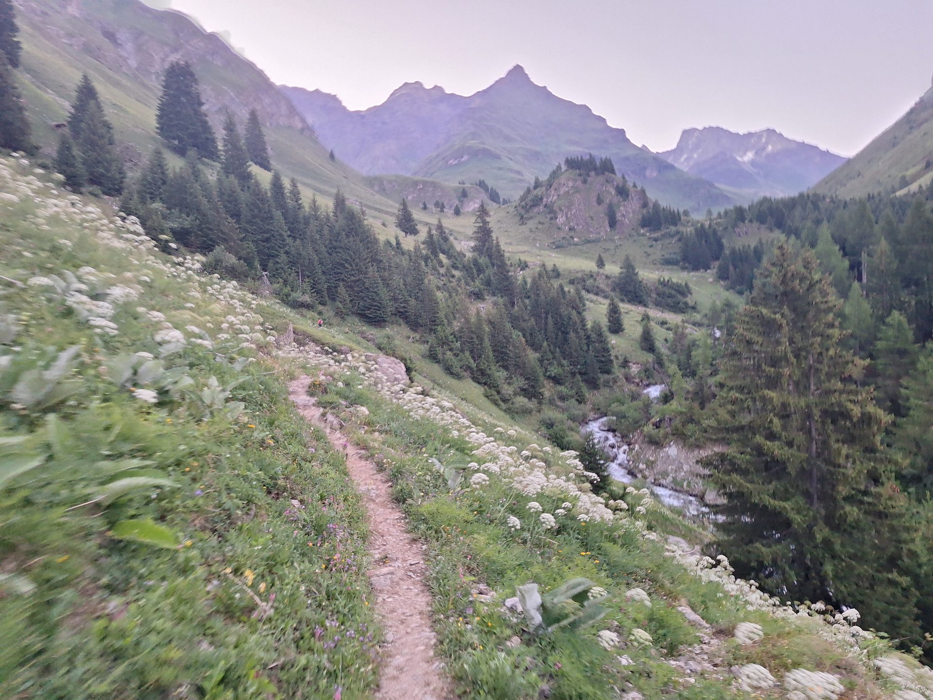 Swiss Irontrail T55