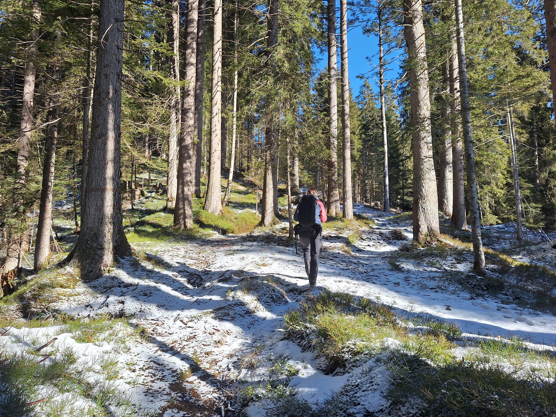 Jänzi (1738 m) – Durch den Schnee auf den Gipfel – Bild 2