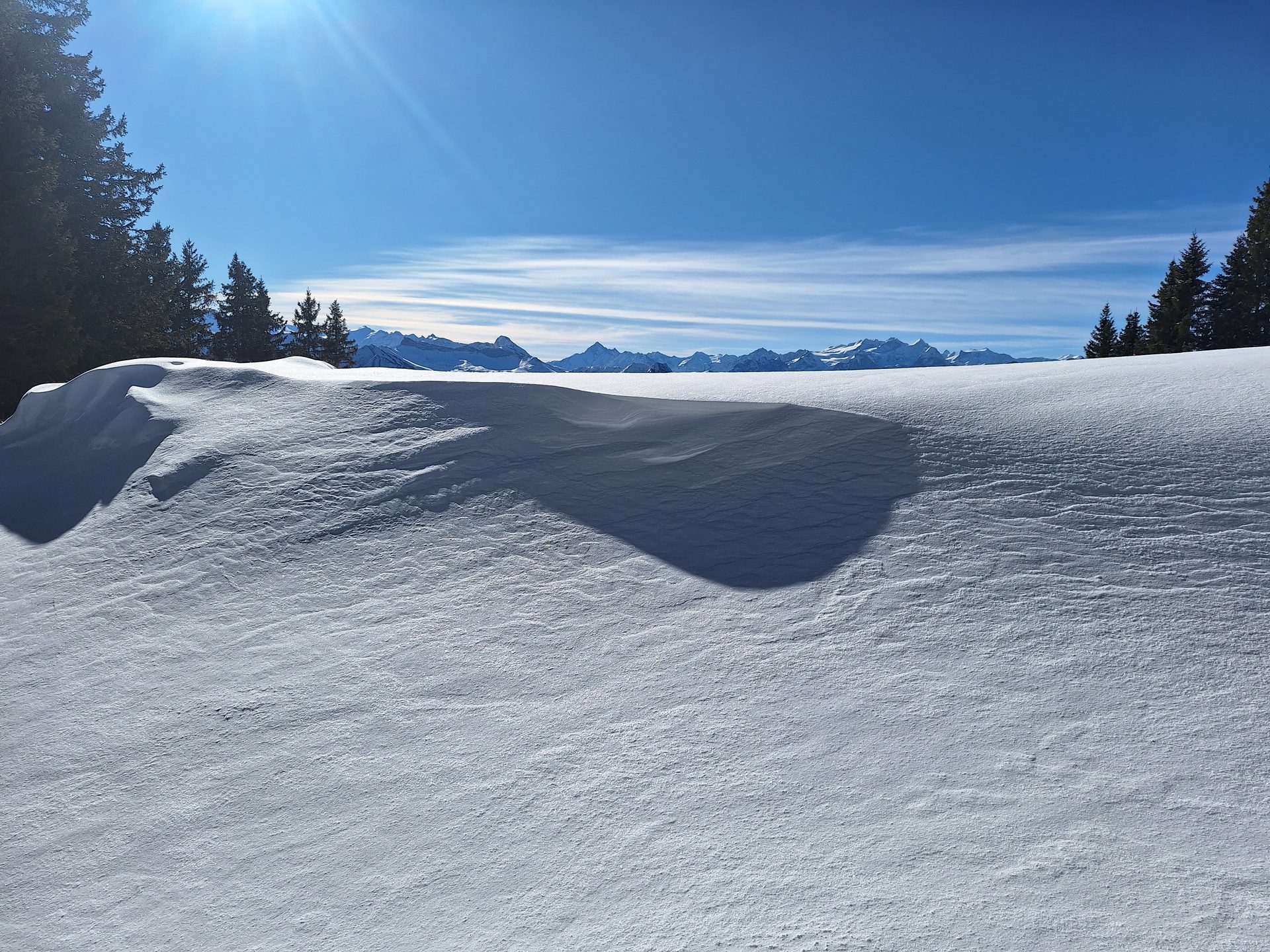 Jänzi (1738 m) – Durch den Schnee auf den Gipfel – Bild 4