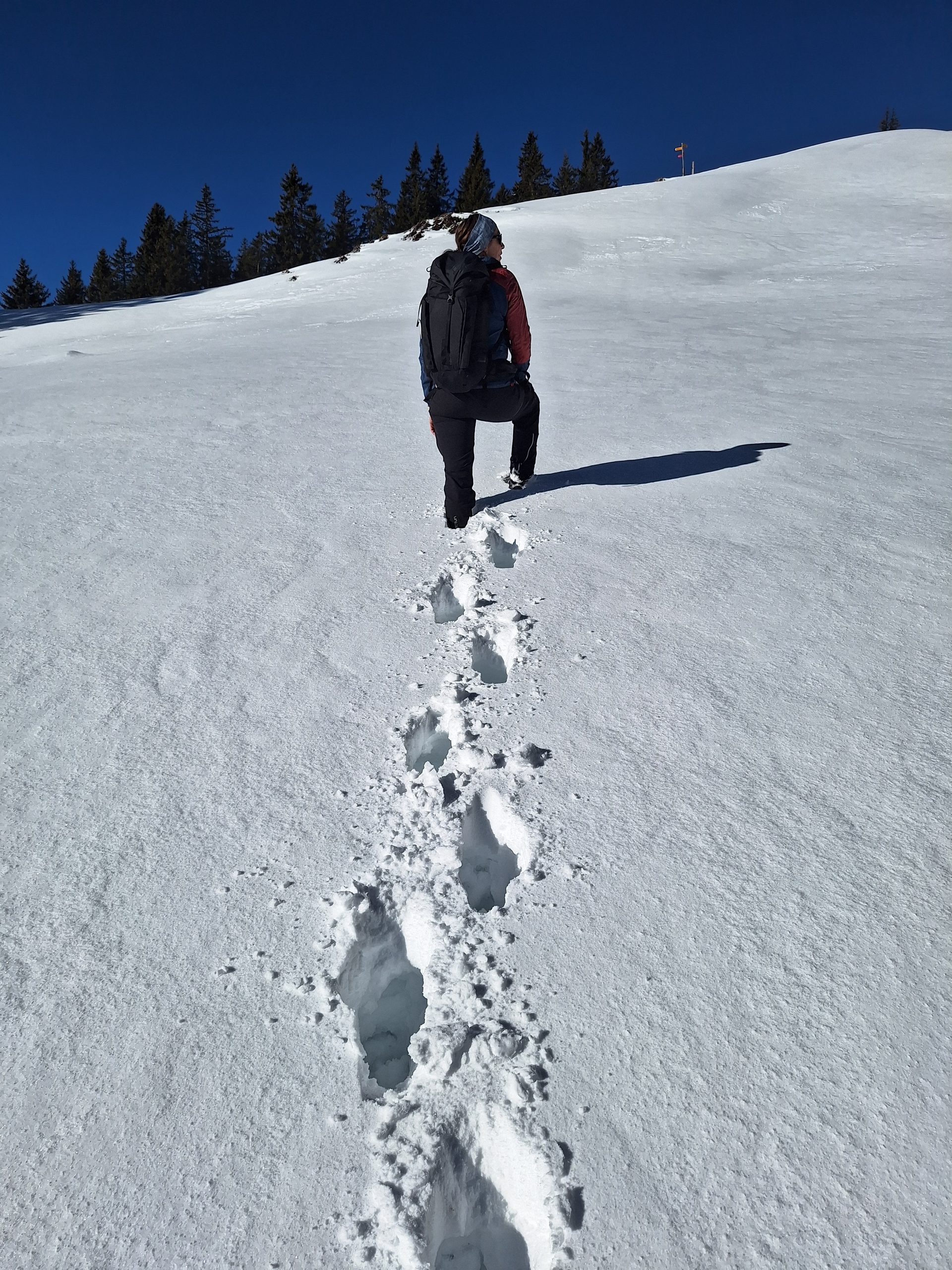 Jänzi (1738 m) – Durch den Schnee auf den Gipfel – Bild 5