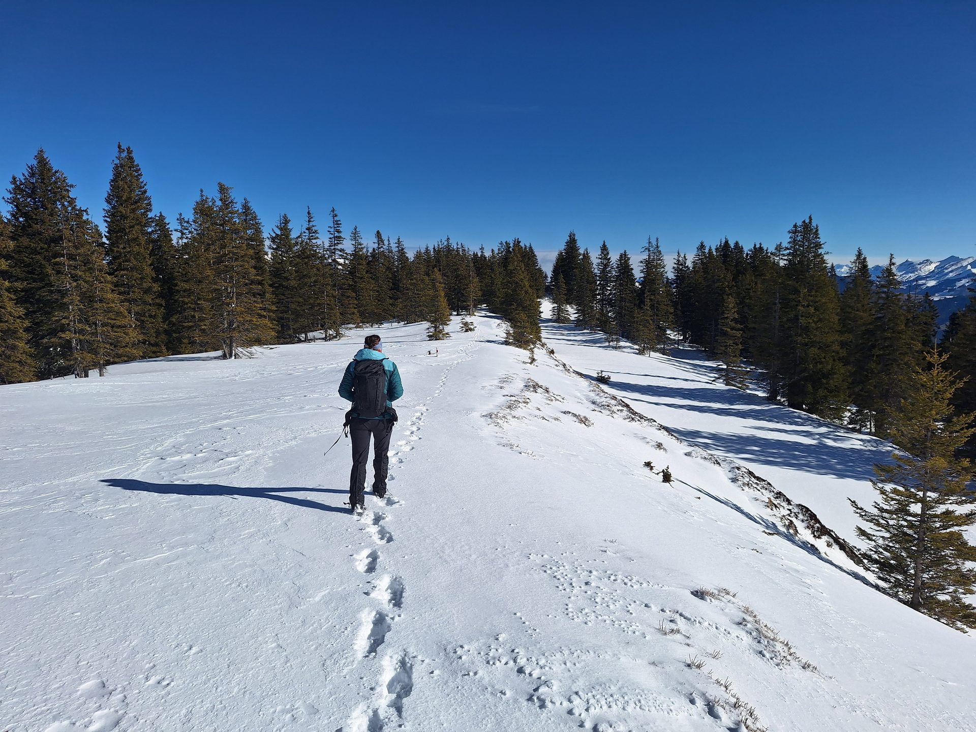 Jänzi (1738 m) – Durch den Schnee auf den Gipfel – Bild 7