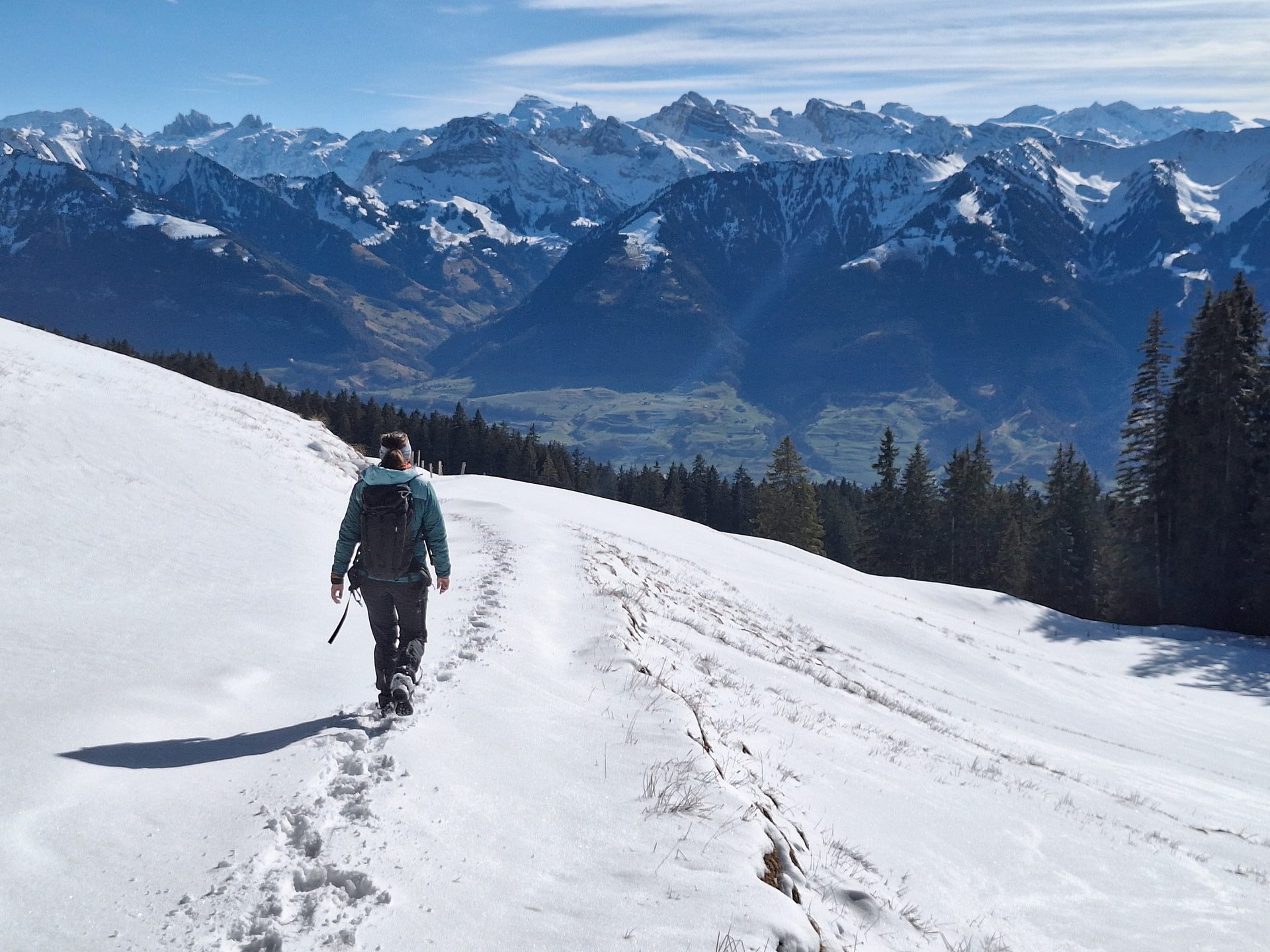 Jänzi (1738 m) – Durch den Schnee auf den Gipfel – Bild 8
