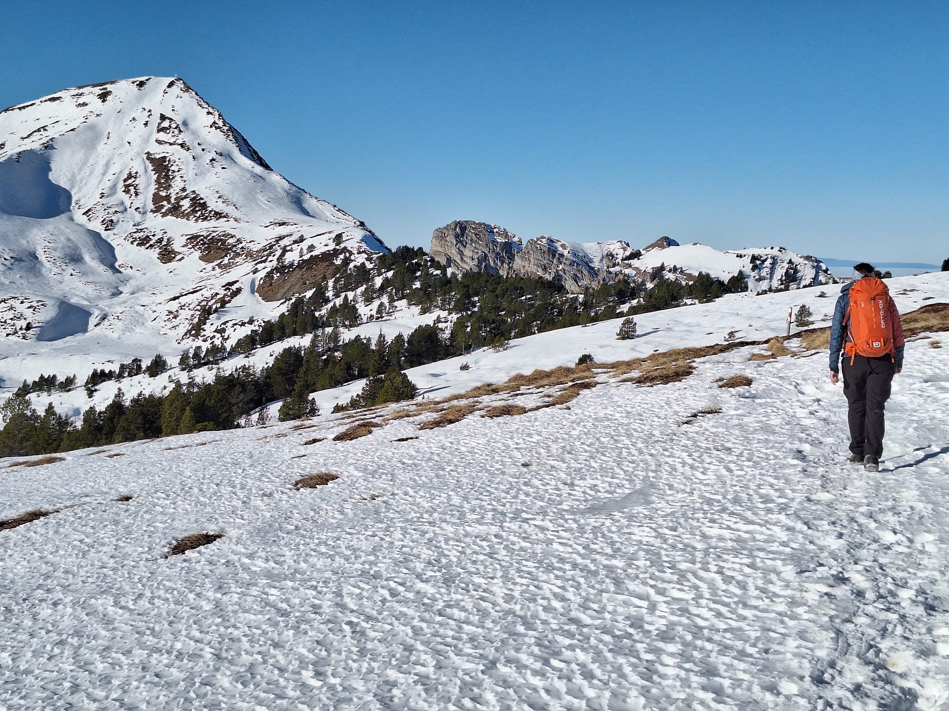 Rickhubel & Fürstein – Wanderung mit Lucy