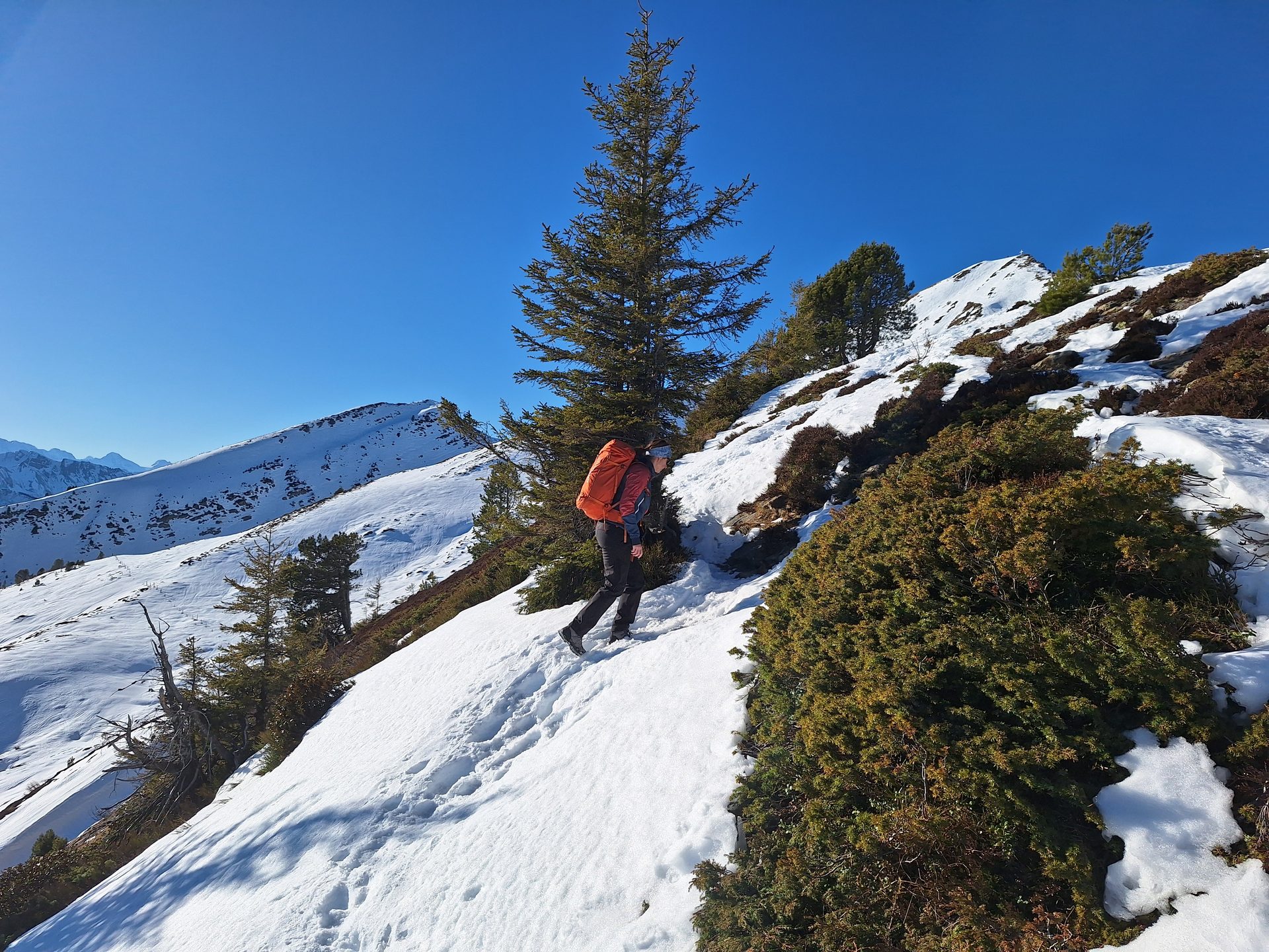 Rickhubel & Fürstein – Wanderung mit Lucy – Bild 2