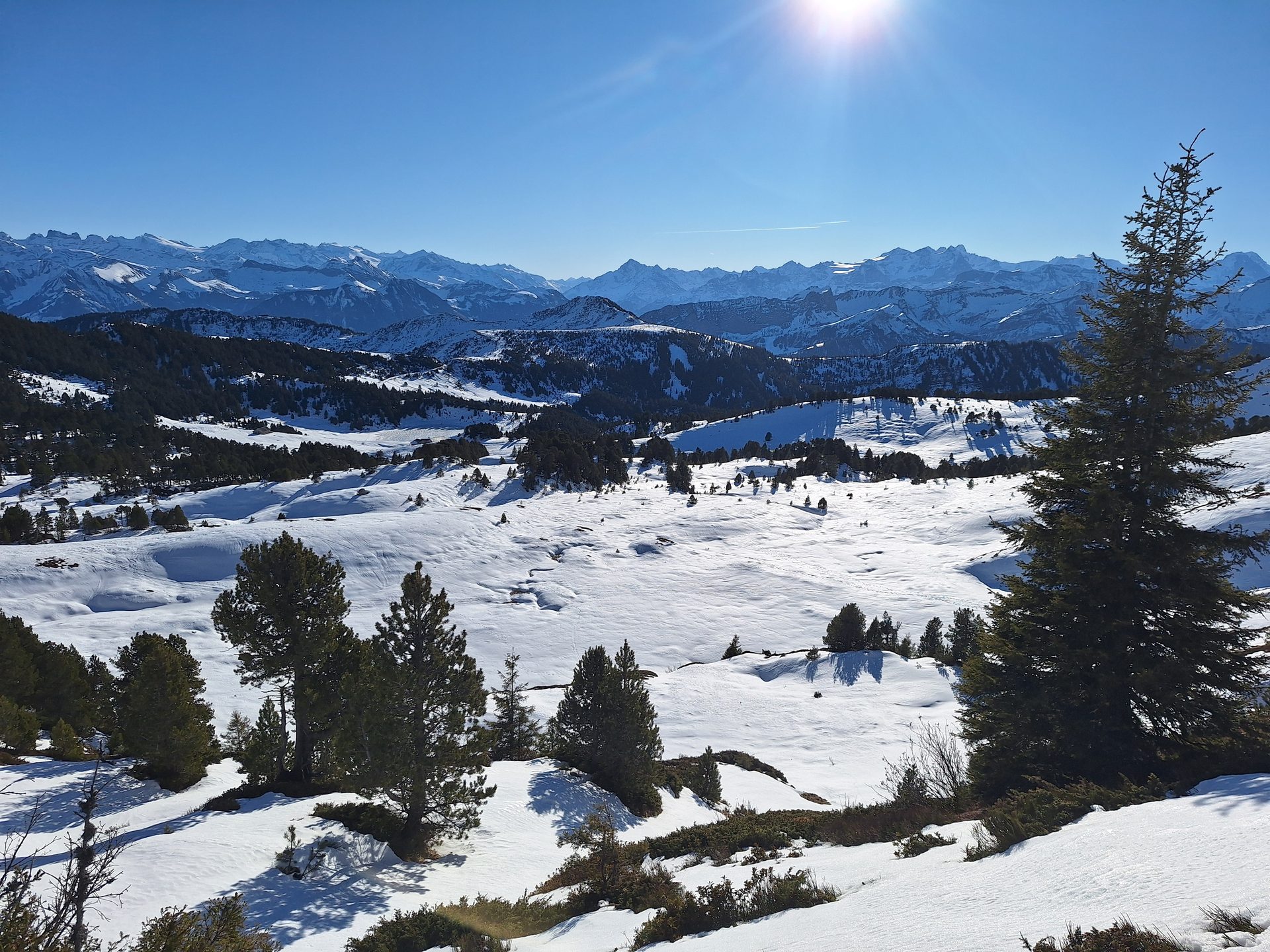 Rickhubel & Fürstein – Wanderung mit Lucy – Bild 3