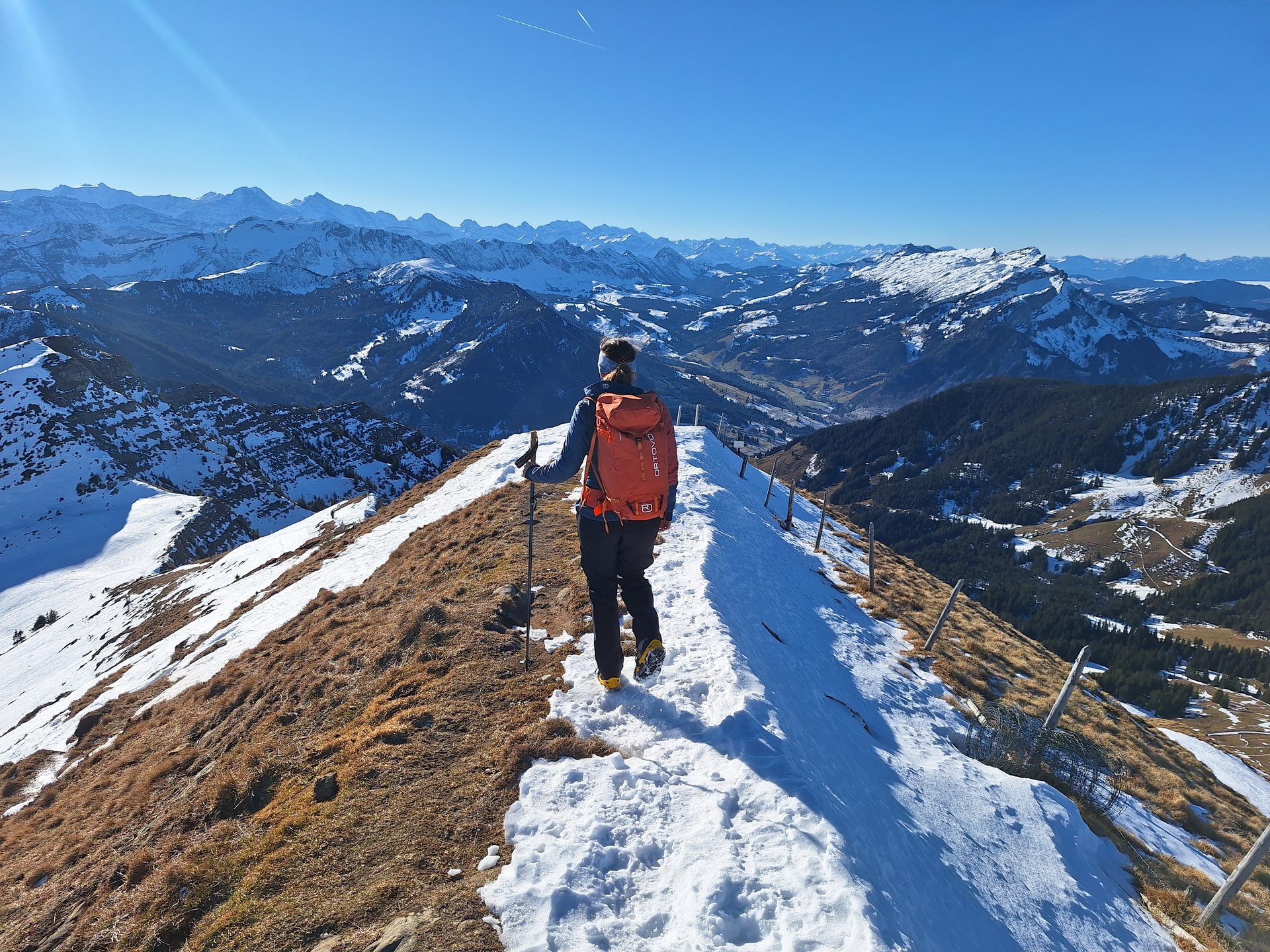 Rickhubel & Fürstein – Wanderung mit Lucy – Bild 8