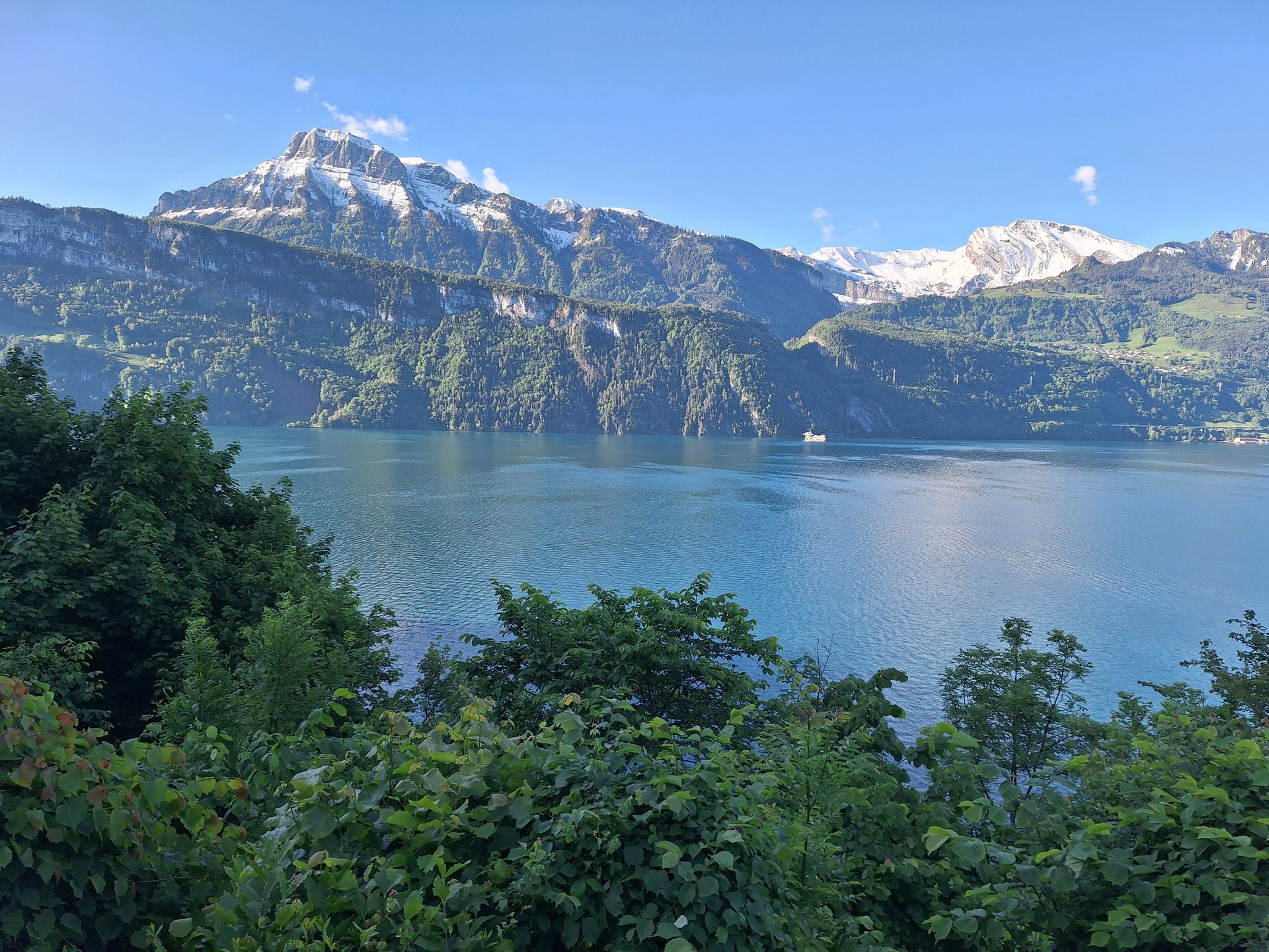 Rigi Hochflue (1698 m) – Südseite hoch, Leiter runter