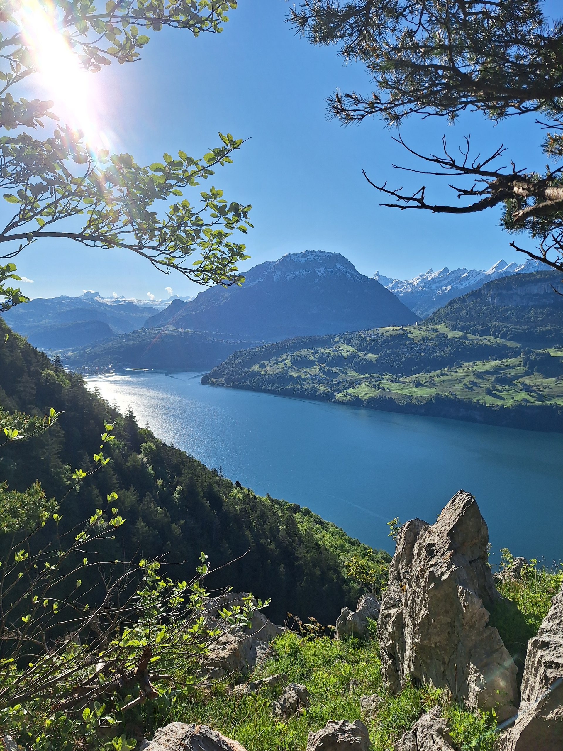 Rigi Hochflue (1698 m) – Südseite hoch, Leiter runter – Bild 3