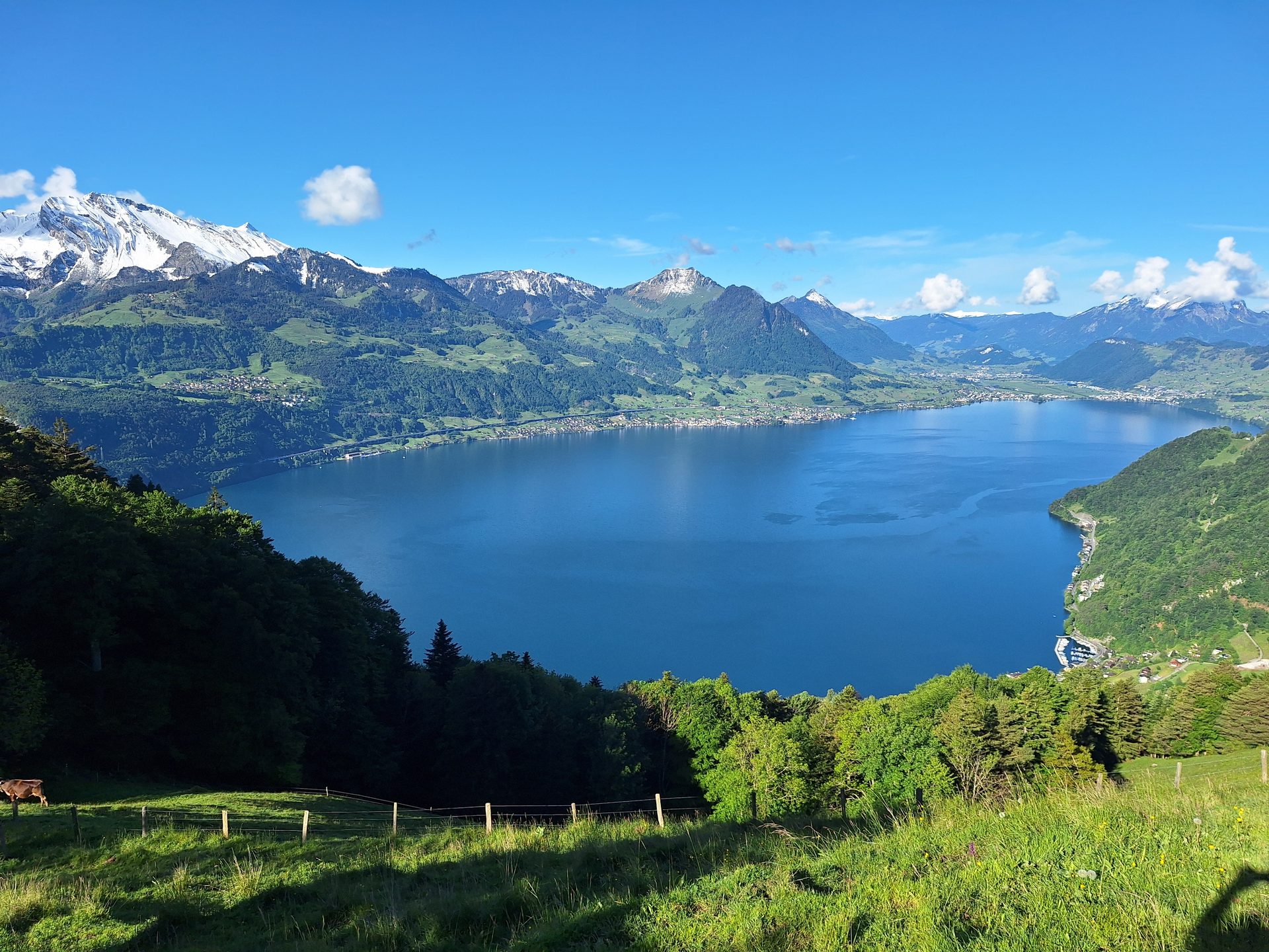 Rigi Hochflue (1698 m) – Südseite hoch, Leiter runter – Bild 5