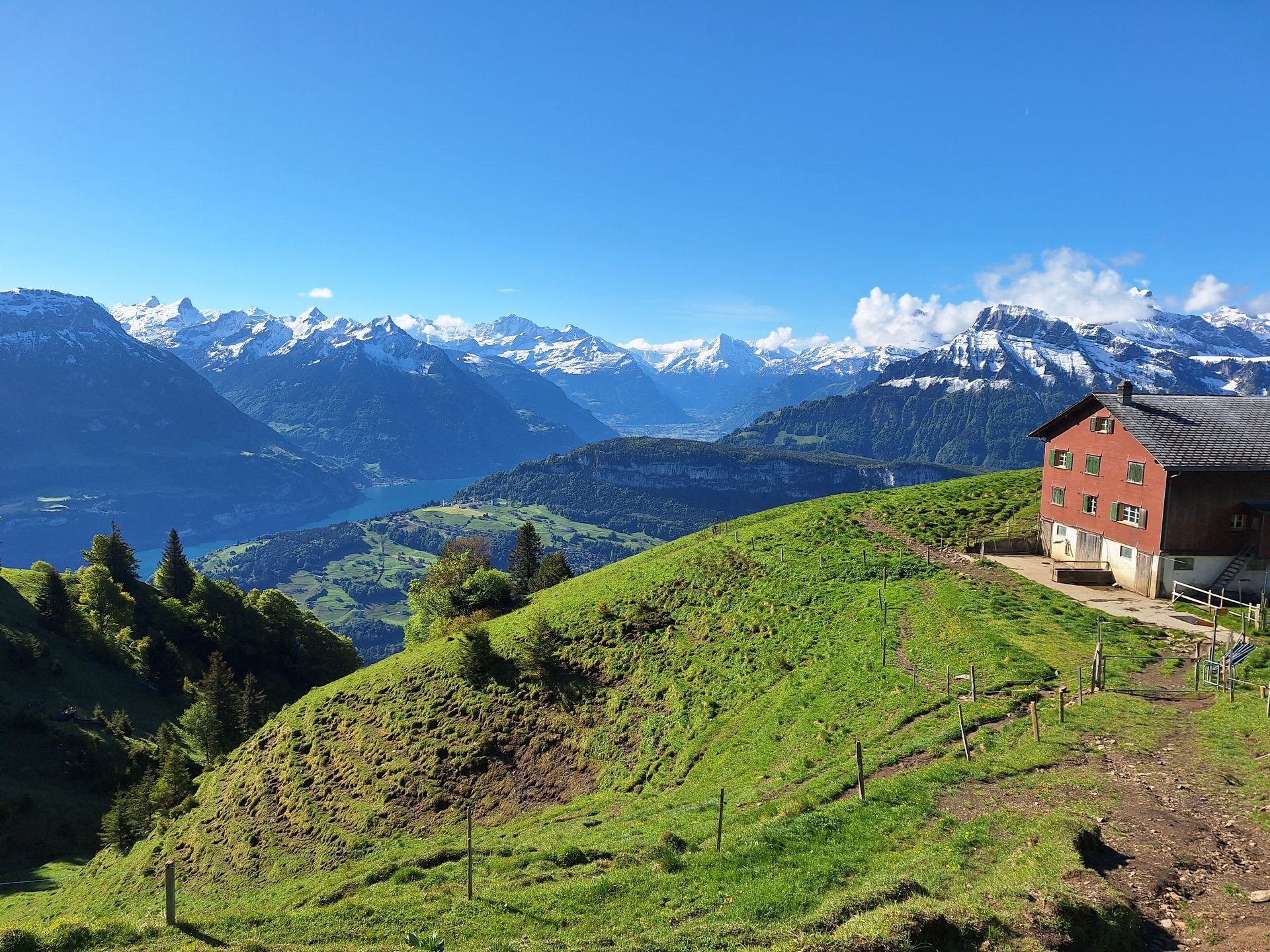 Rigi Hochflue (1698 m) – Südseite hoch, Leiter runter – Bild 7
