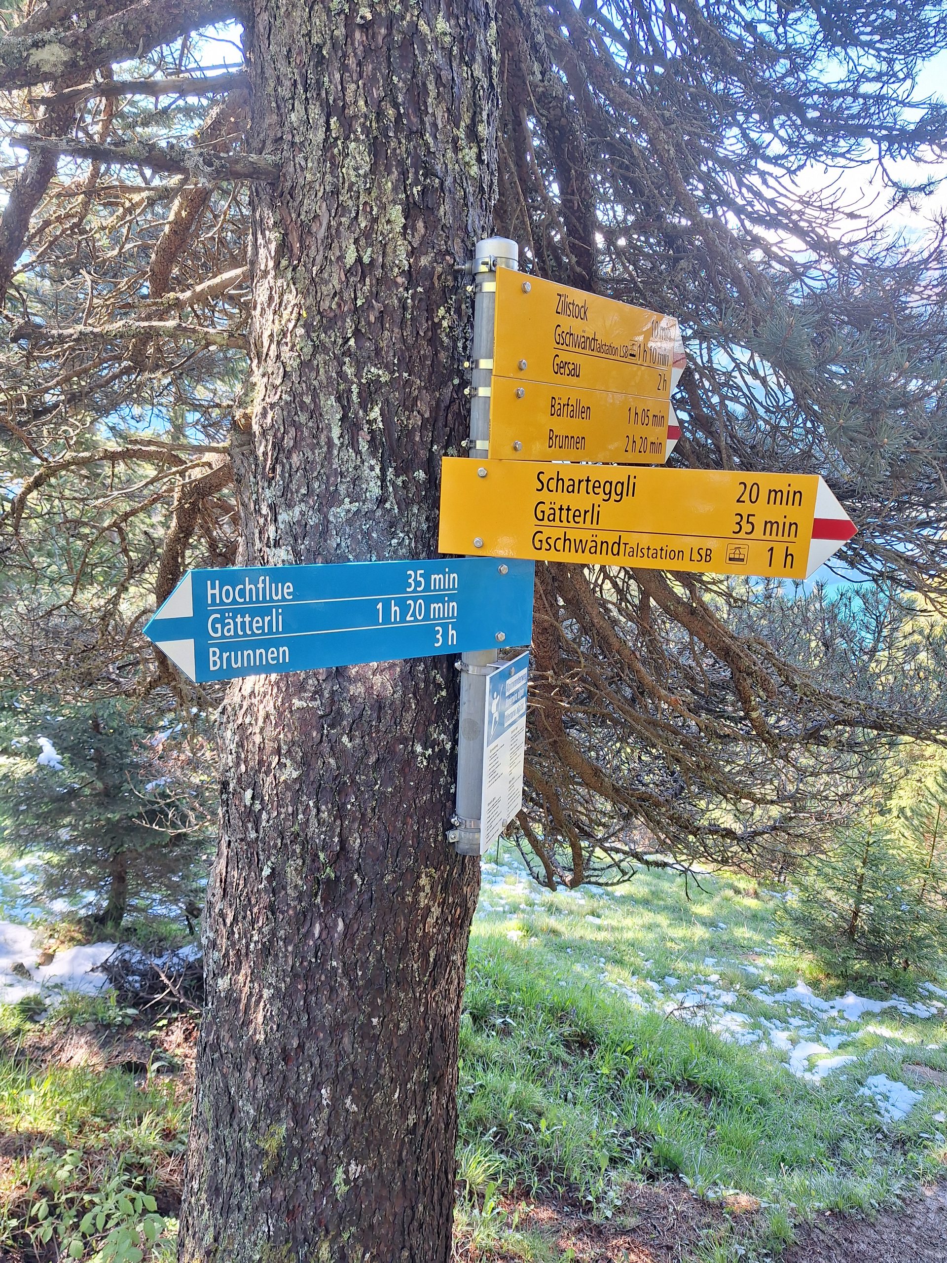 Rigi Hochflue (1698 m) – Südseite hoch, Leiter runter – Bild 8