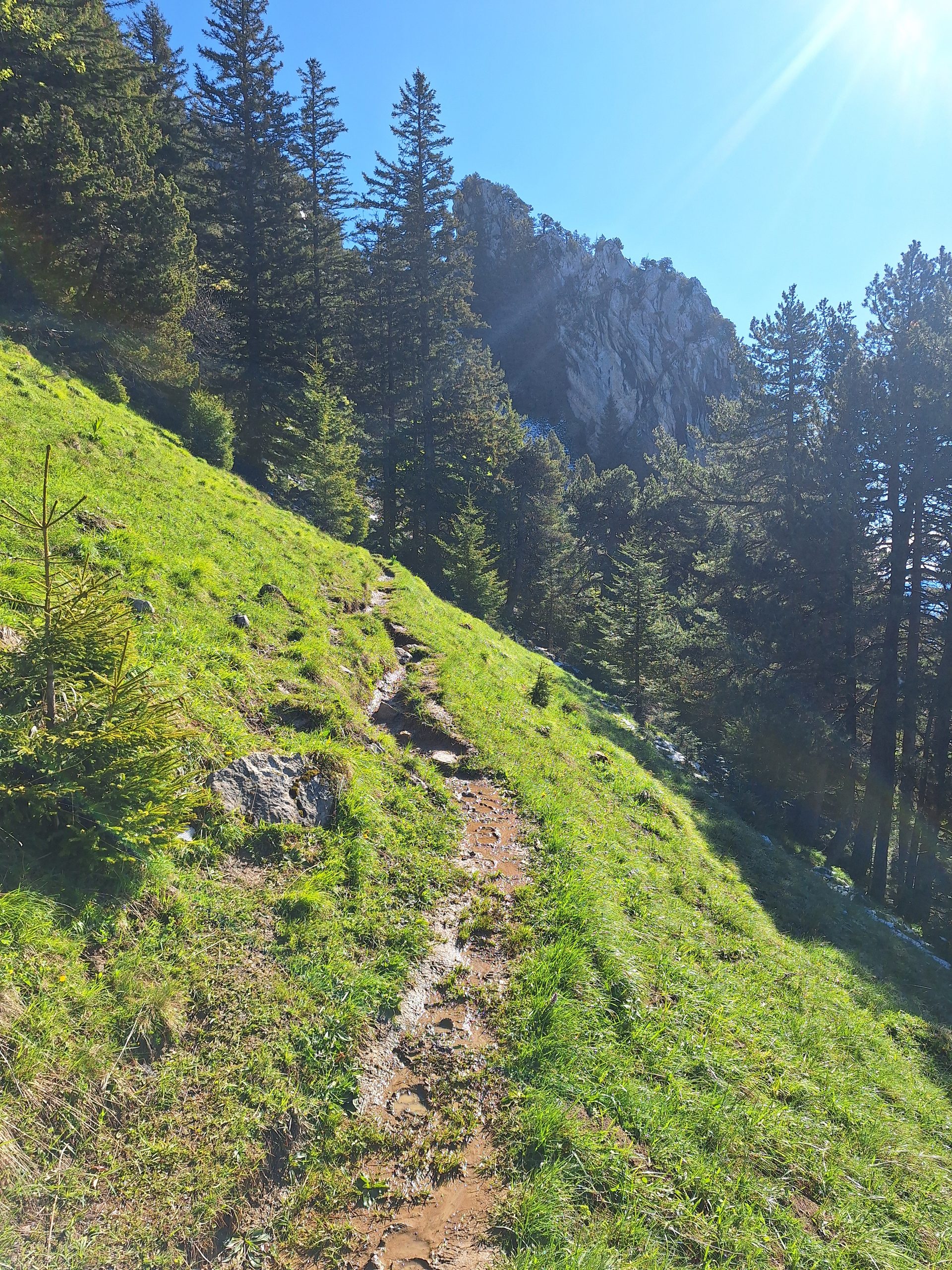 Rigi Hochflue (1698 m) – Südseite hoch, Leiter runter – Bild 9