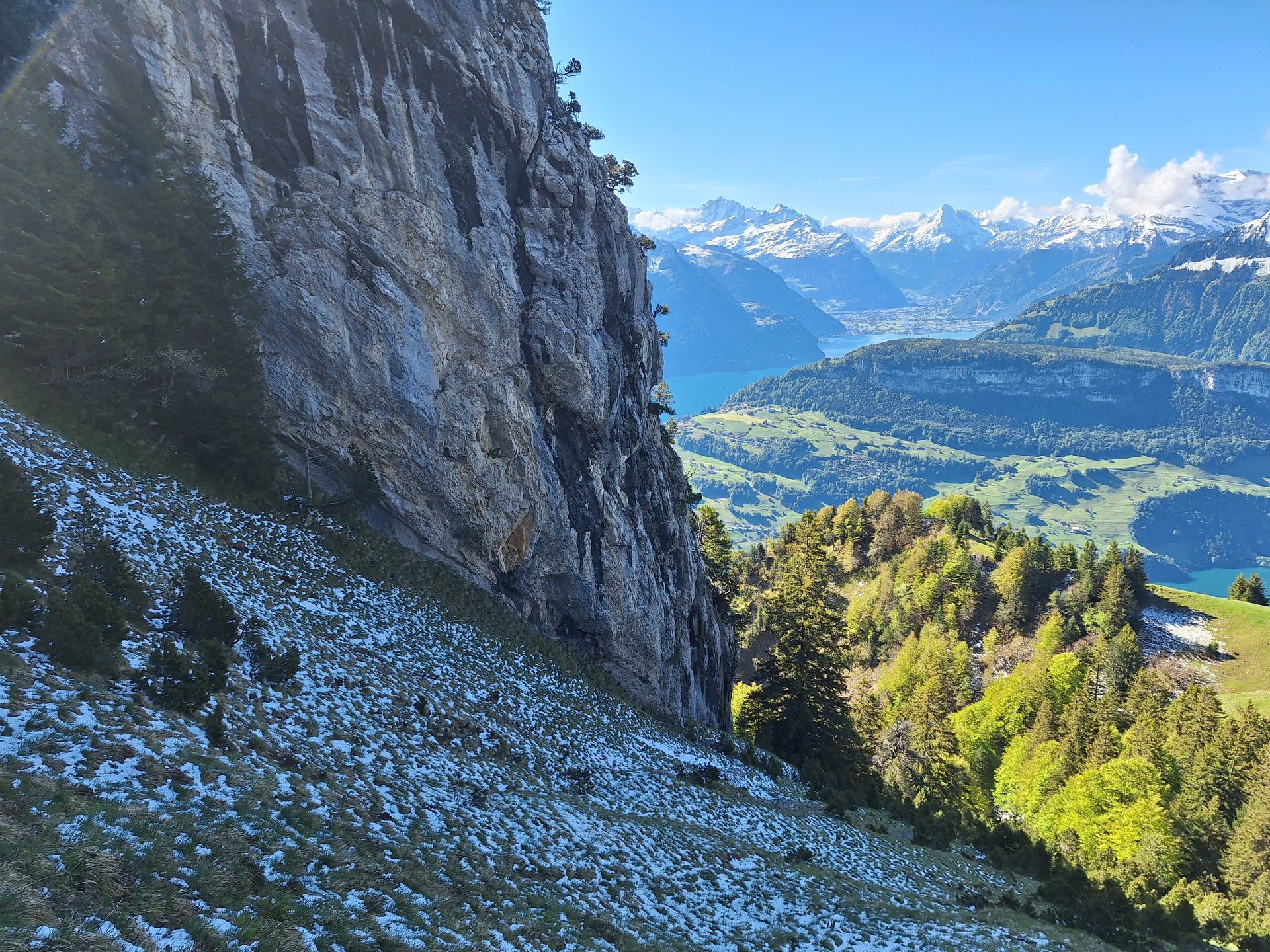 Rigi Hochflue (1698 m) – Südseite hoch, Leiter runter – Bild 11