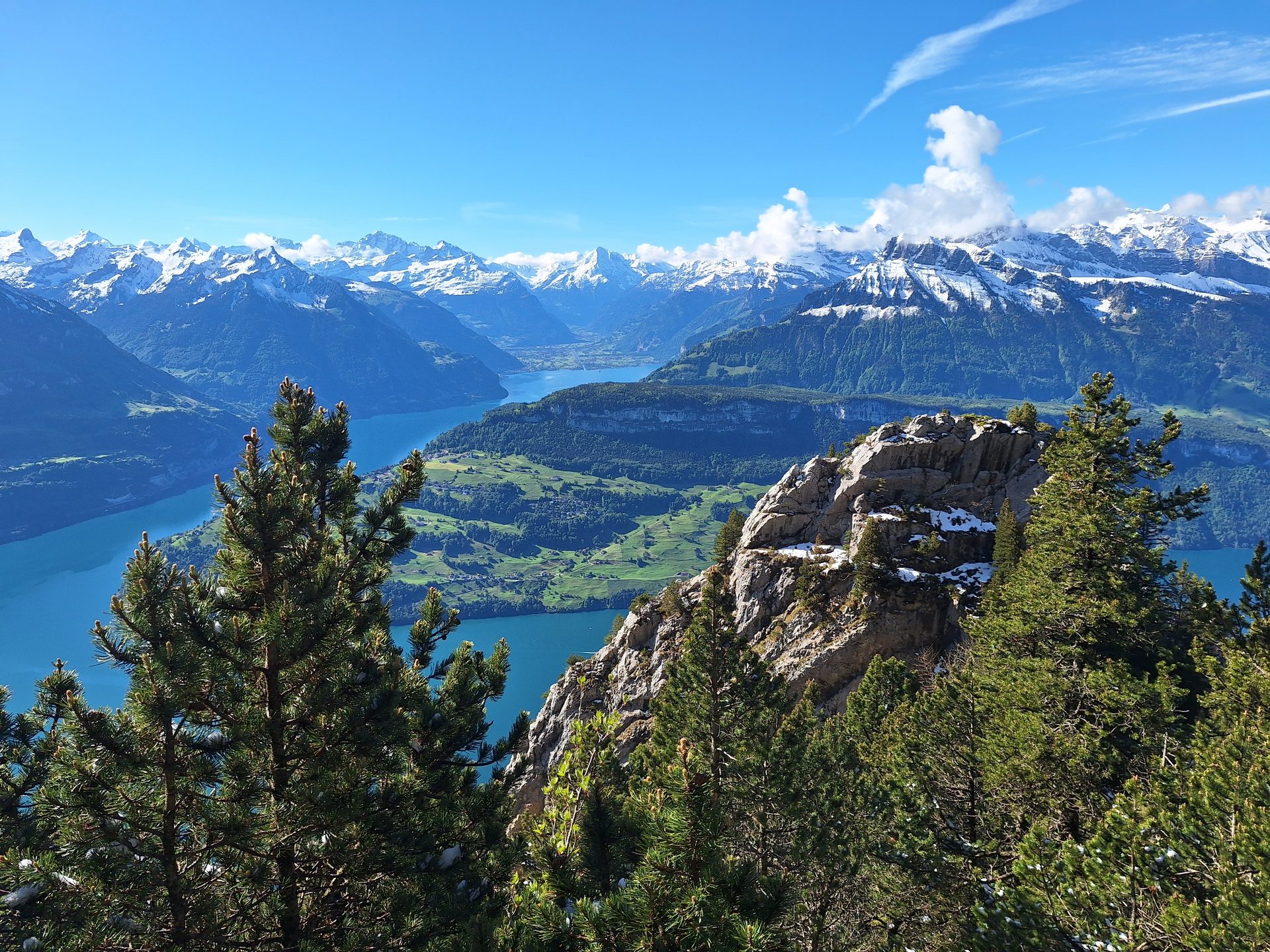 Rigi Hochflue (1698 m) – Südseite hoch, Leiter runter – Bild 12