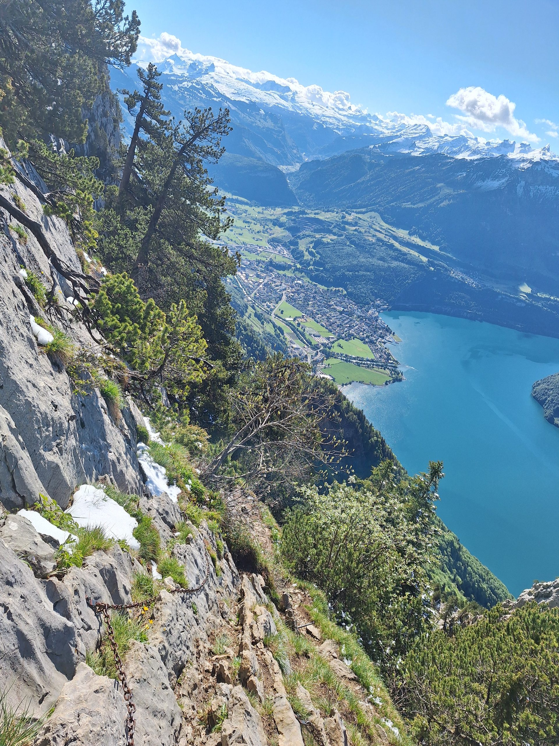 Rigi Hochflue (1698 m) – Südseite hoch, Leiter runter – Bild 15