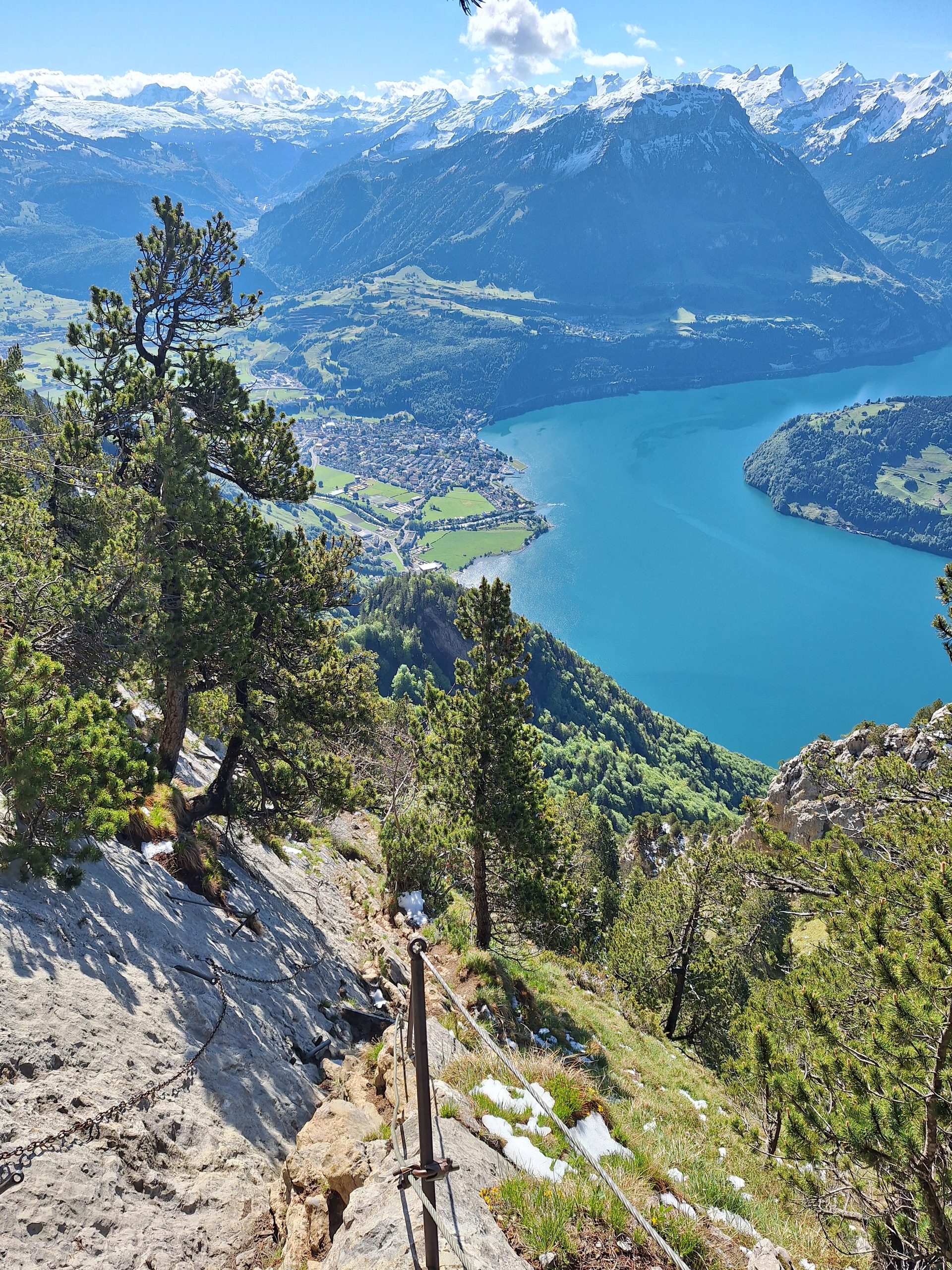 Rigi Hochflue (1698 m) – Südseite hoch, Leiter runter – Bild 16