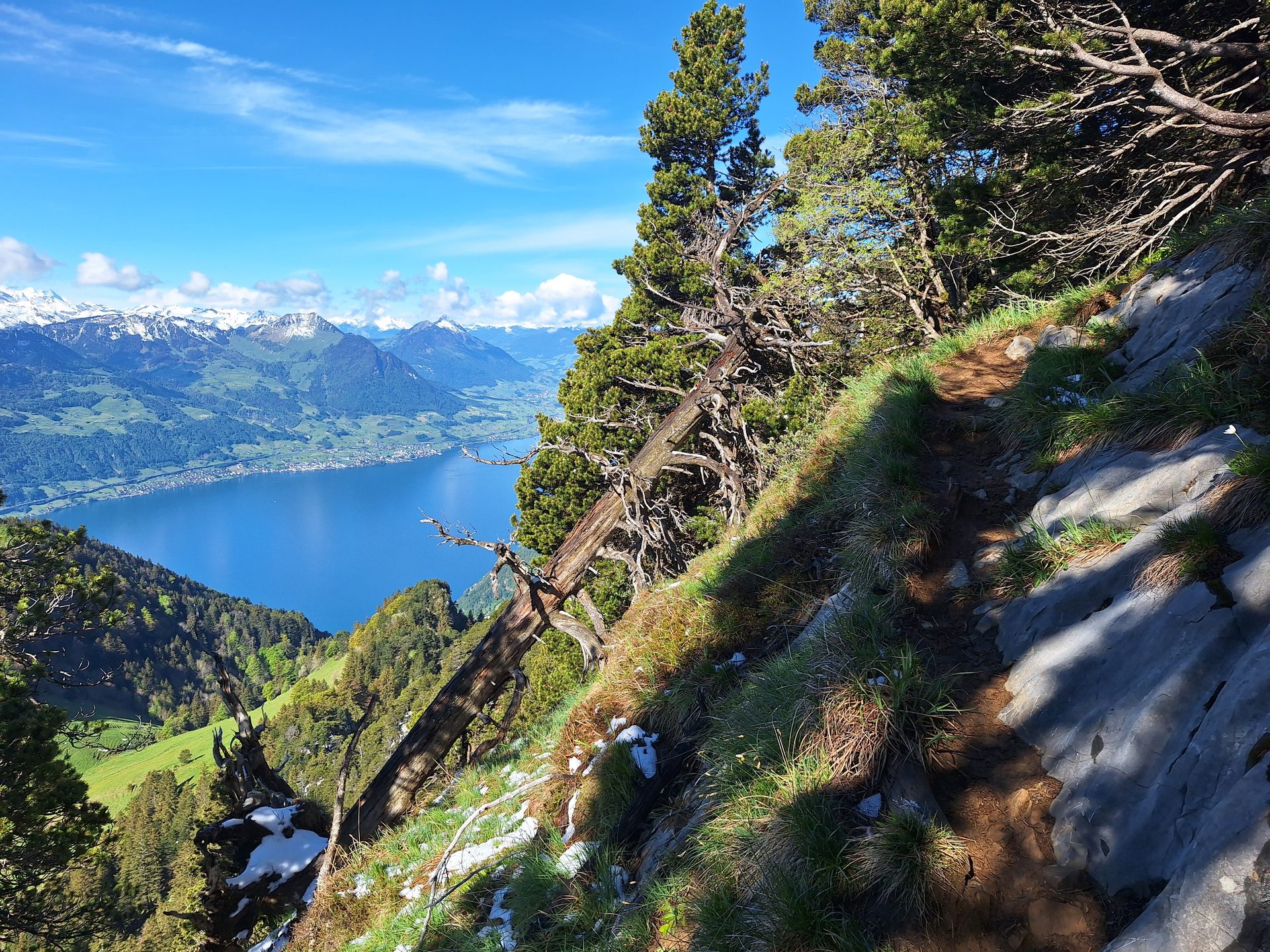 Rigi Hochflue (1698 m) – Südseite hoch, Leiter runter – Bild 17