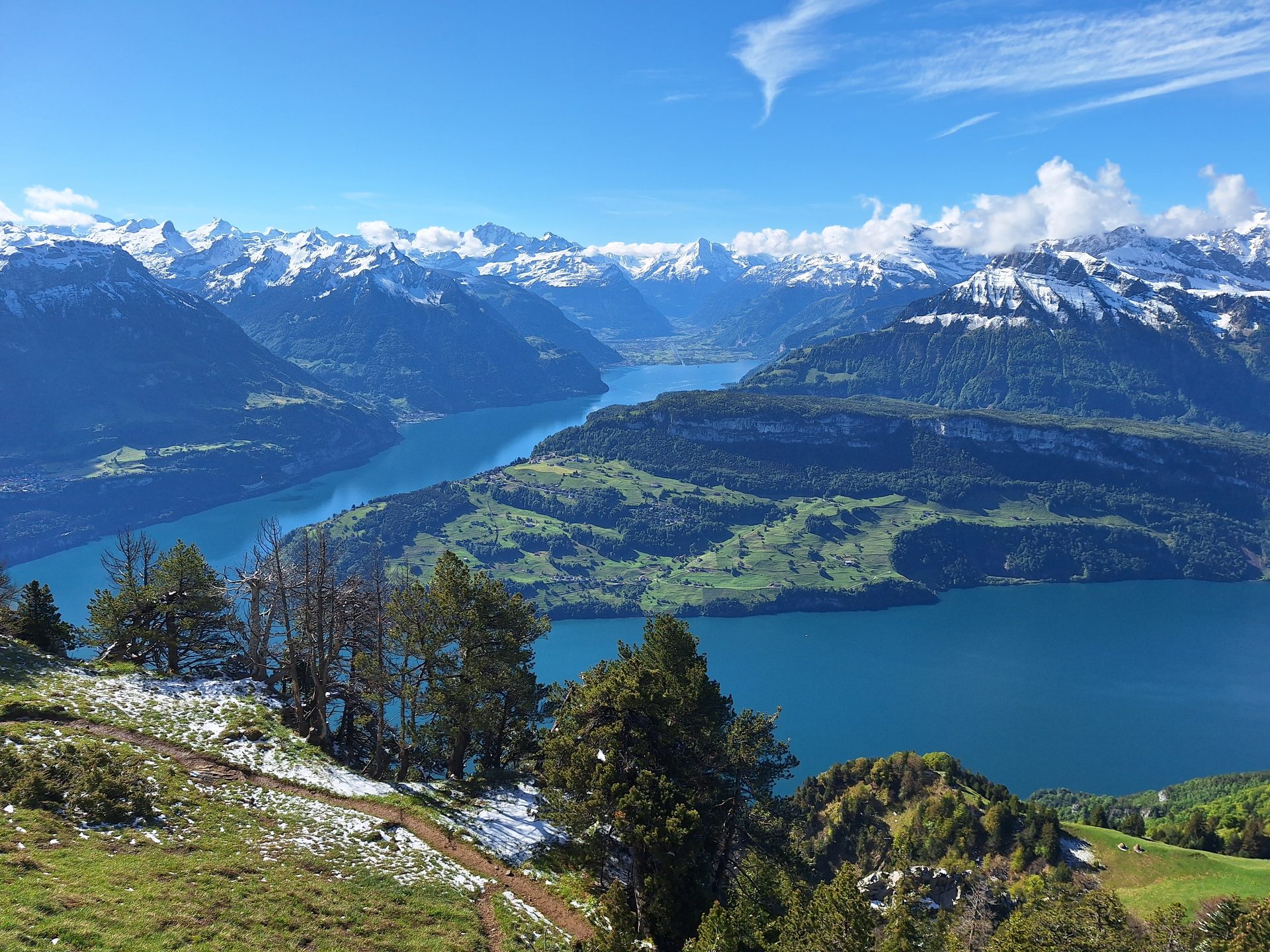 Rigi Hochflue (1698 m) – Südseite hoch, Leiter runter – Bild 18