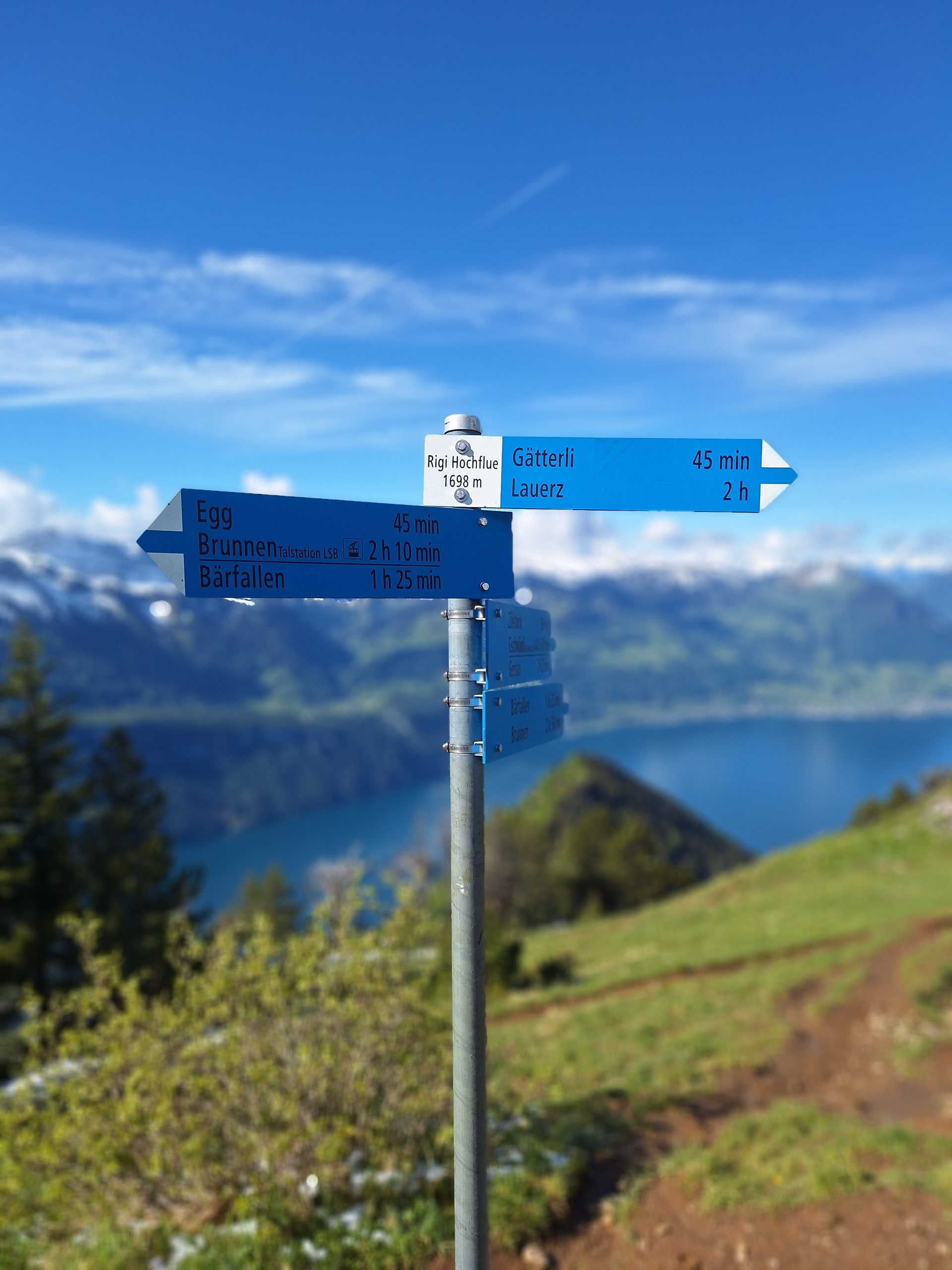 Rigi Hochflue (1698 m) – Südseite hoch, Leiter runter – Bild 20