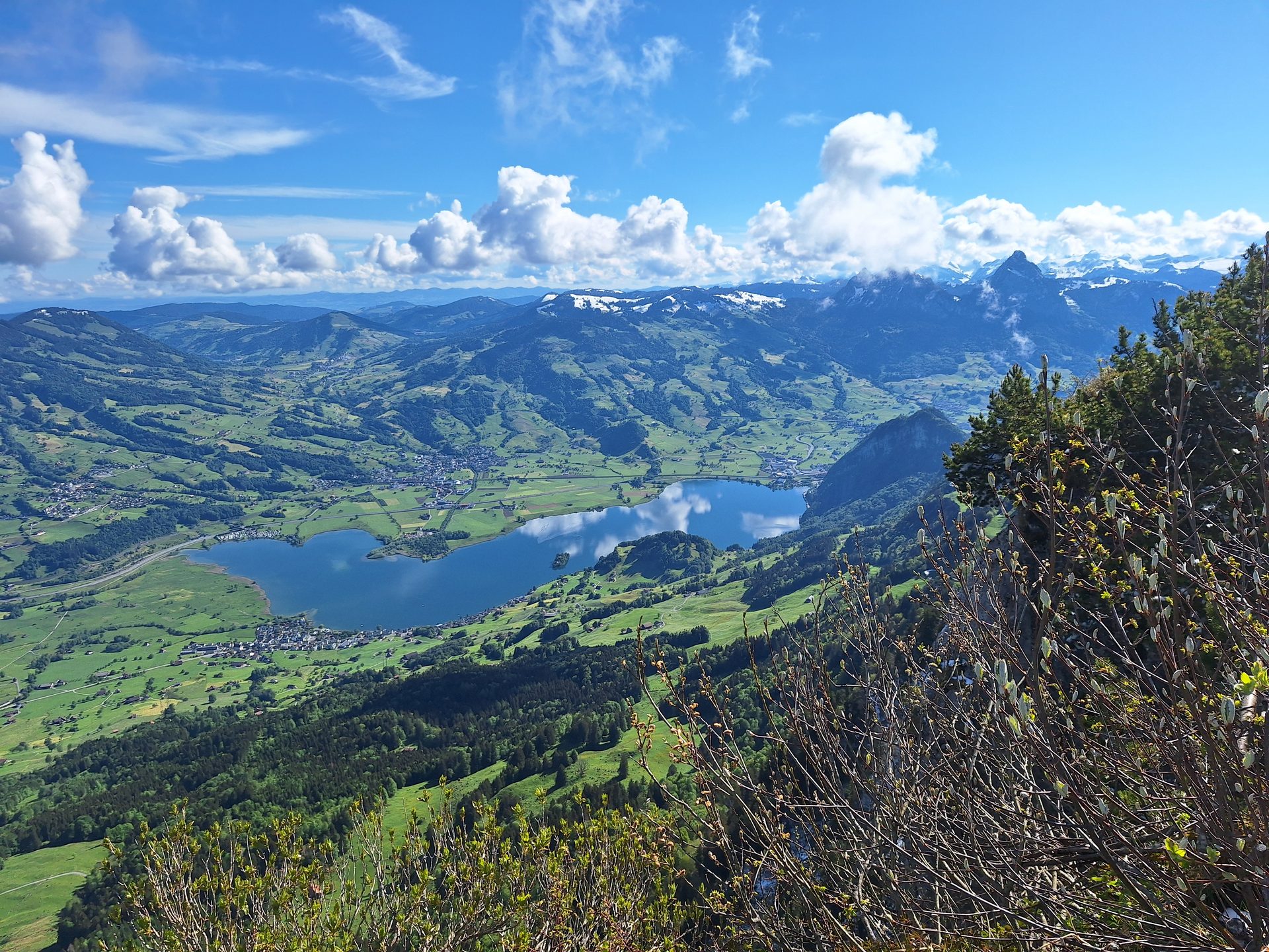 Rigi Hochflue (1698 m) – Südseite hoch, Leiter runter – Bild 21