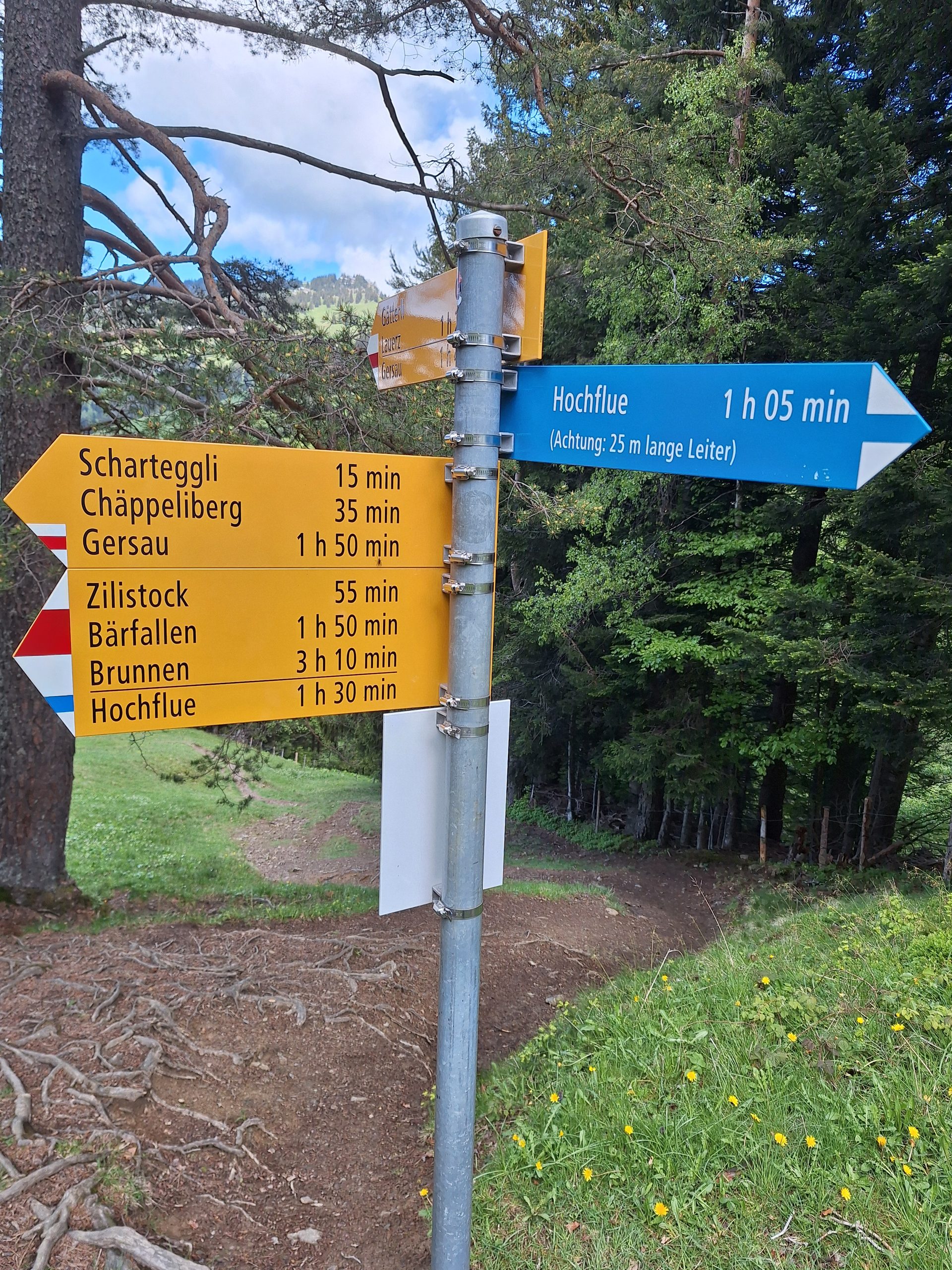 Rigi Hochflue (1698 m) – Südseite hoch, Leiter runter – Bild 25