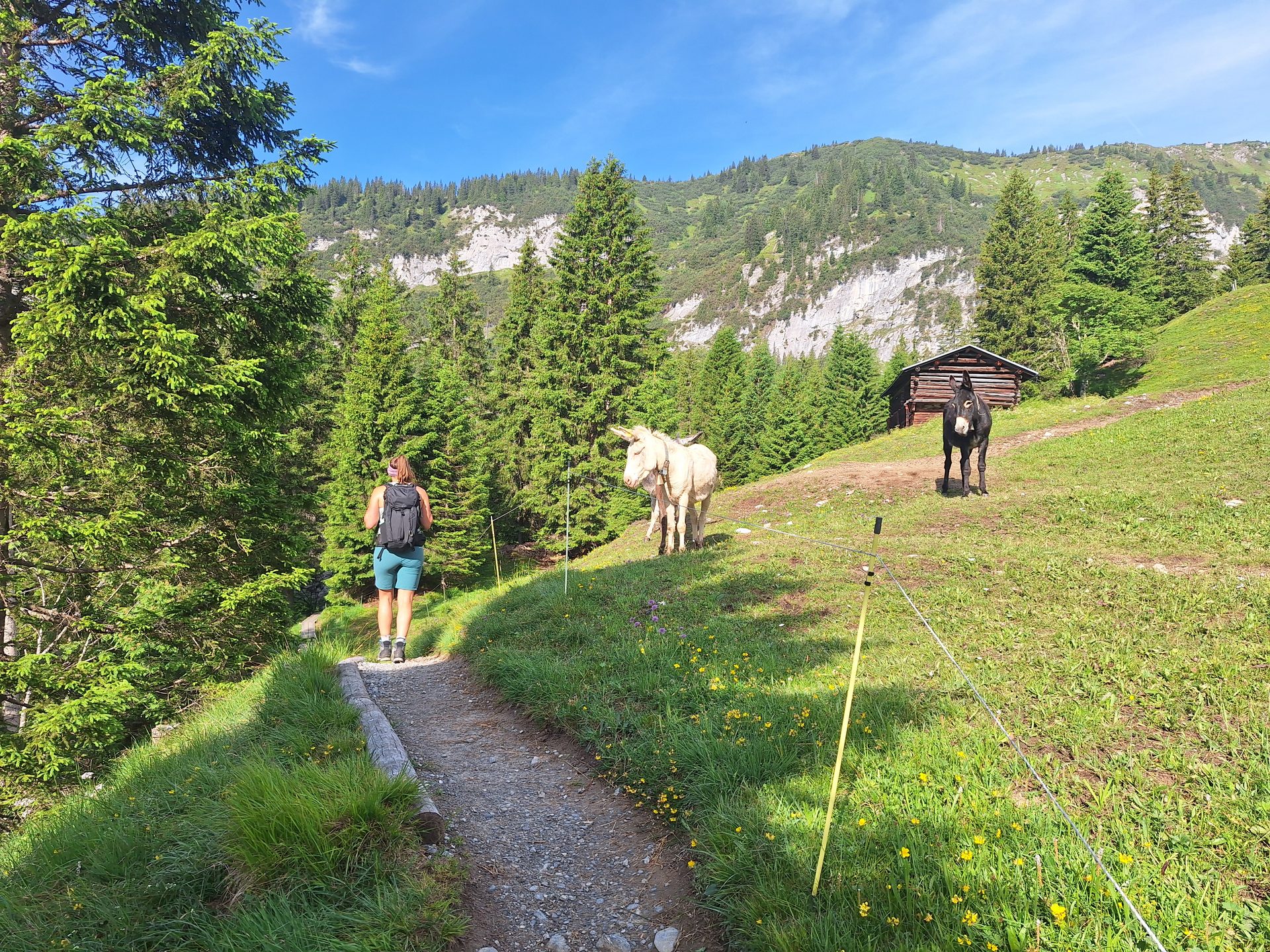 Segnesboden (2067 m) – Am Fuss des Sardona-Massivs