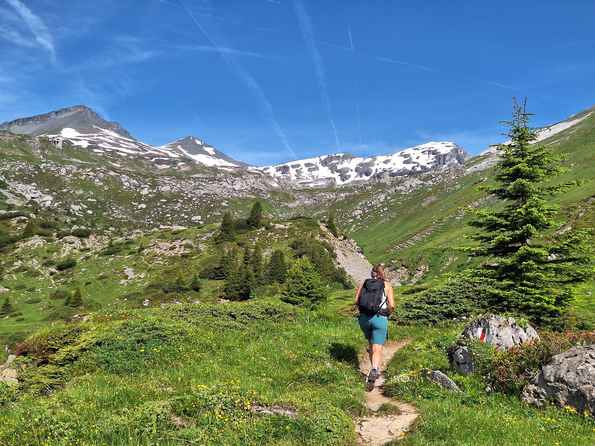 Segnesboden (2067 m) – Am Fuss des Sardona-Massivs – Bild 4