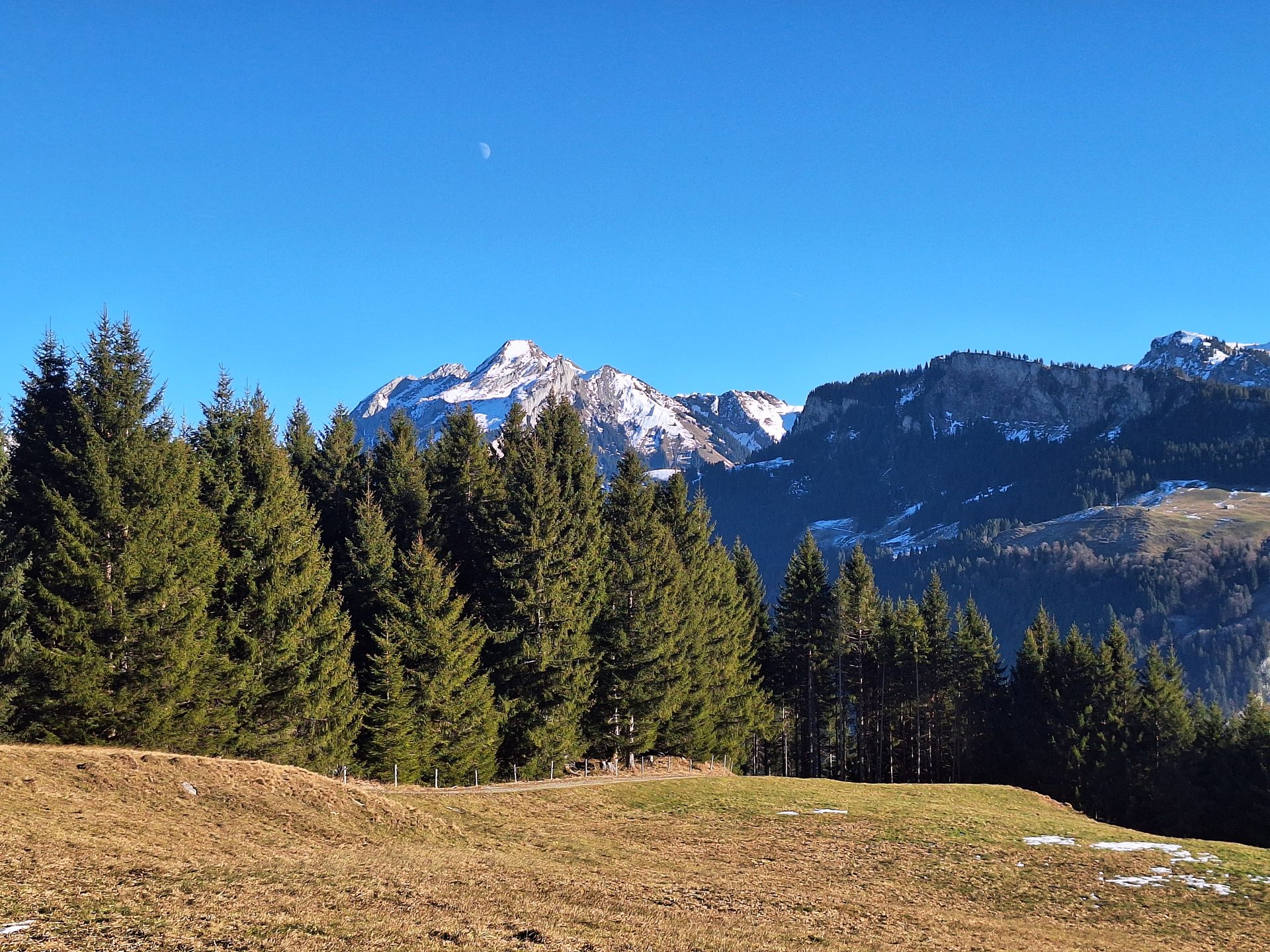 Spital – Überschreitung Einsiedeln–Unteriberg – Bild 4