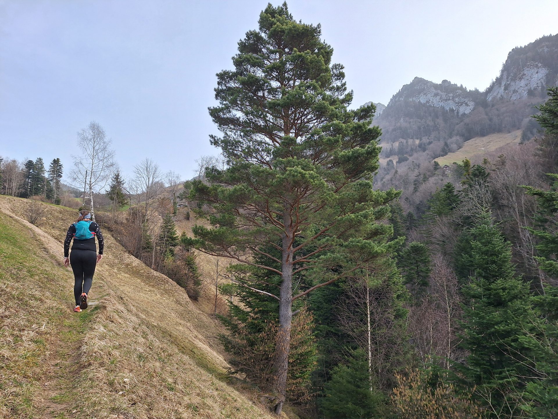 Vierwaldstättersee-Umrundung – Etappe 6, Rigi Überschreitung