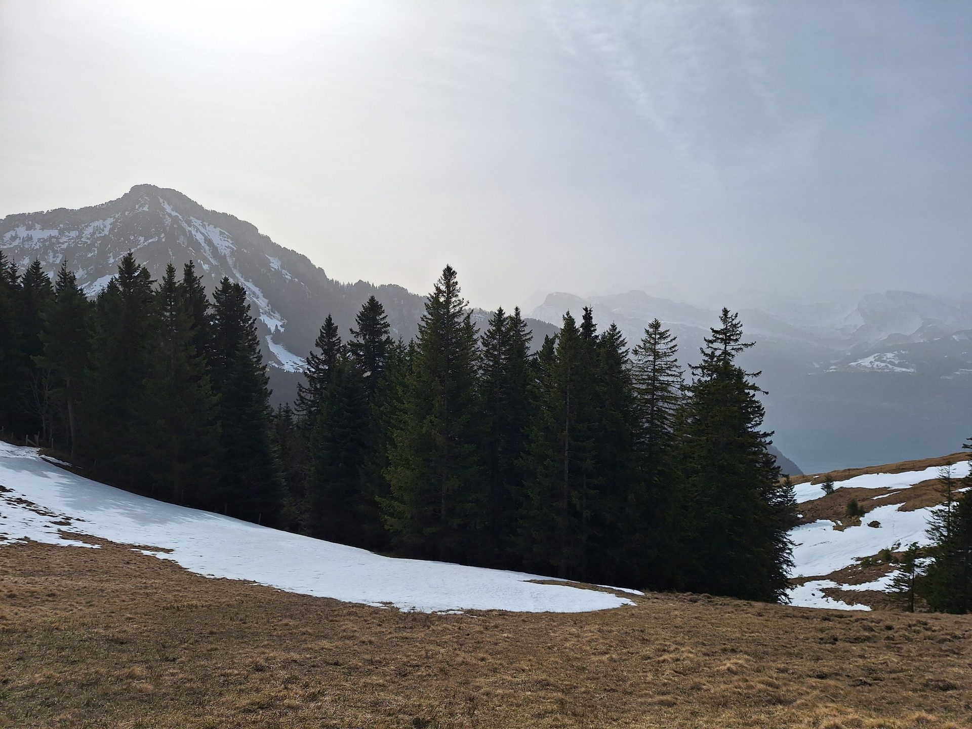Vierwaldstättersee-Umrundung – Etappe 6, Rigi Überschreitung – Bild 3