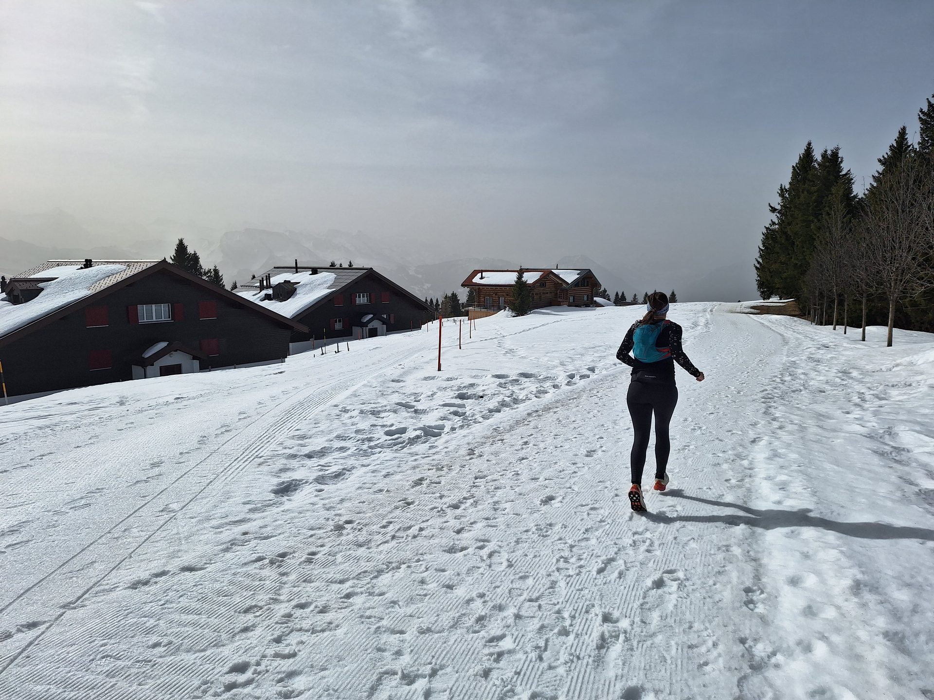 Vierwaldstättersee-Umrundung – Etappe 6, Rigi Überschreitung – Bild 6