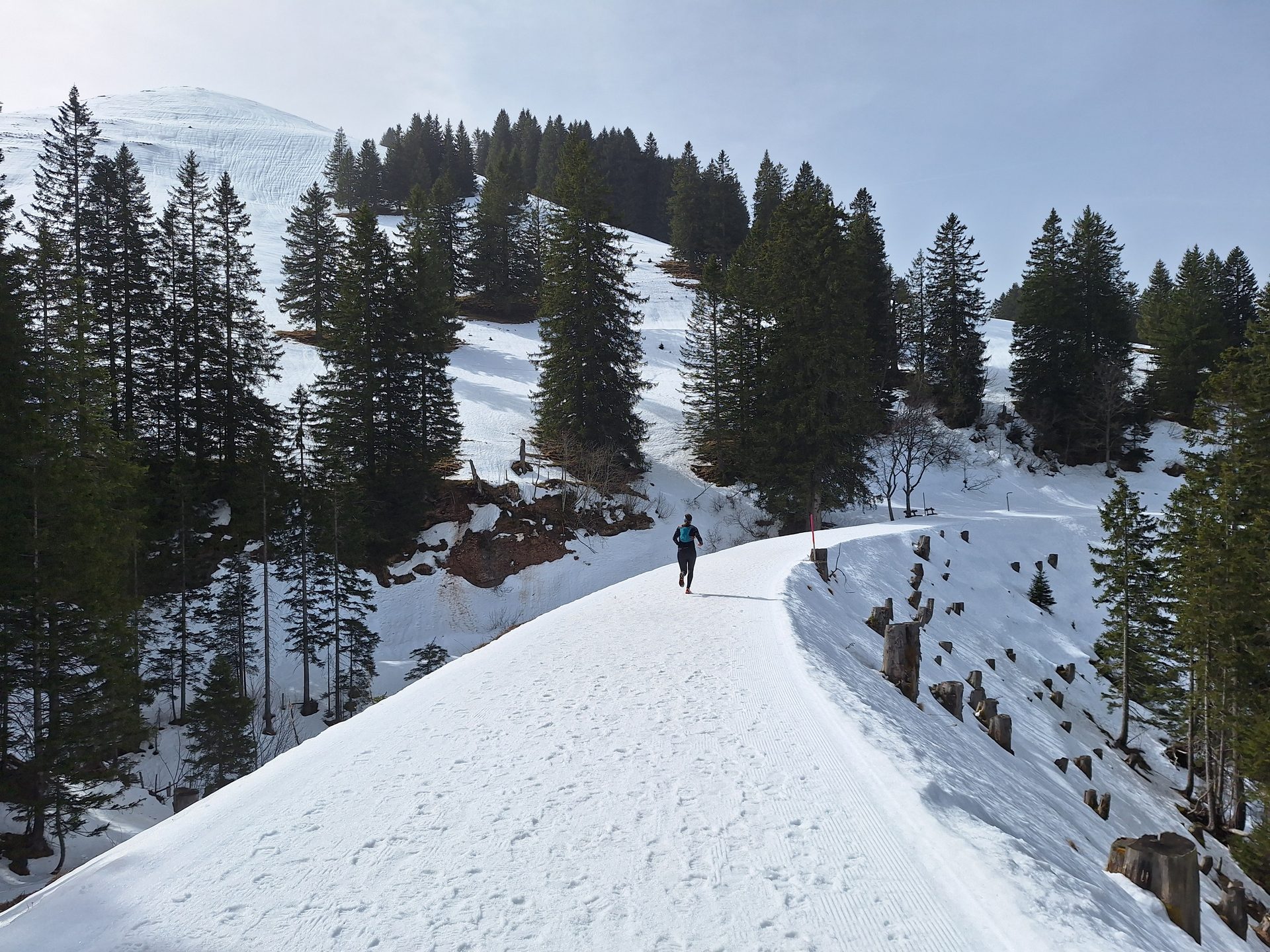 Vierwaldstättersee-Umrundung – Etappe 6, Rigi Überschreitung – Bild 10