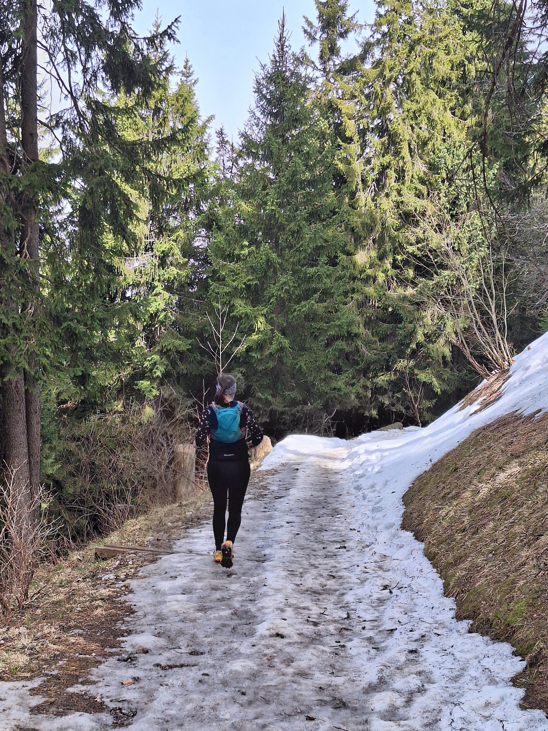 Vierwaldstättersee-Umrundung – Etappe 6, Rigi Überschreitung – Bild 18