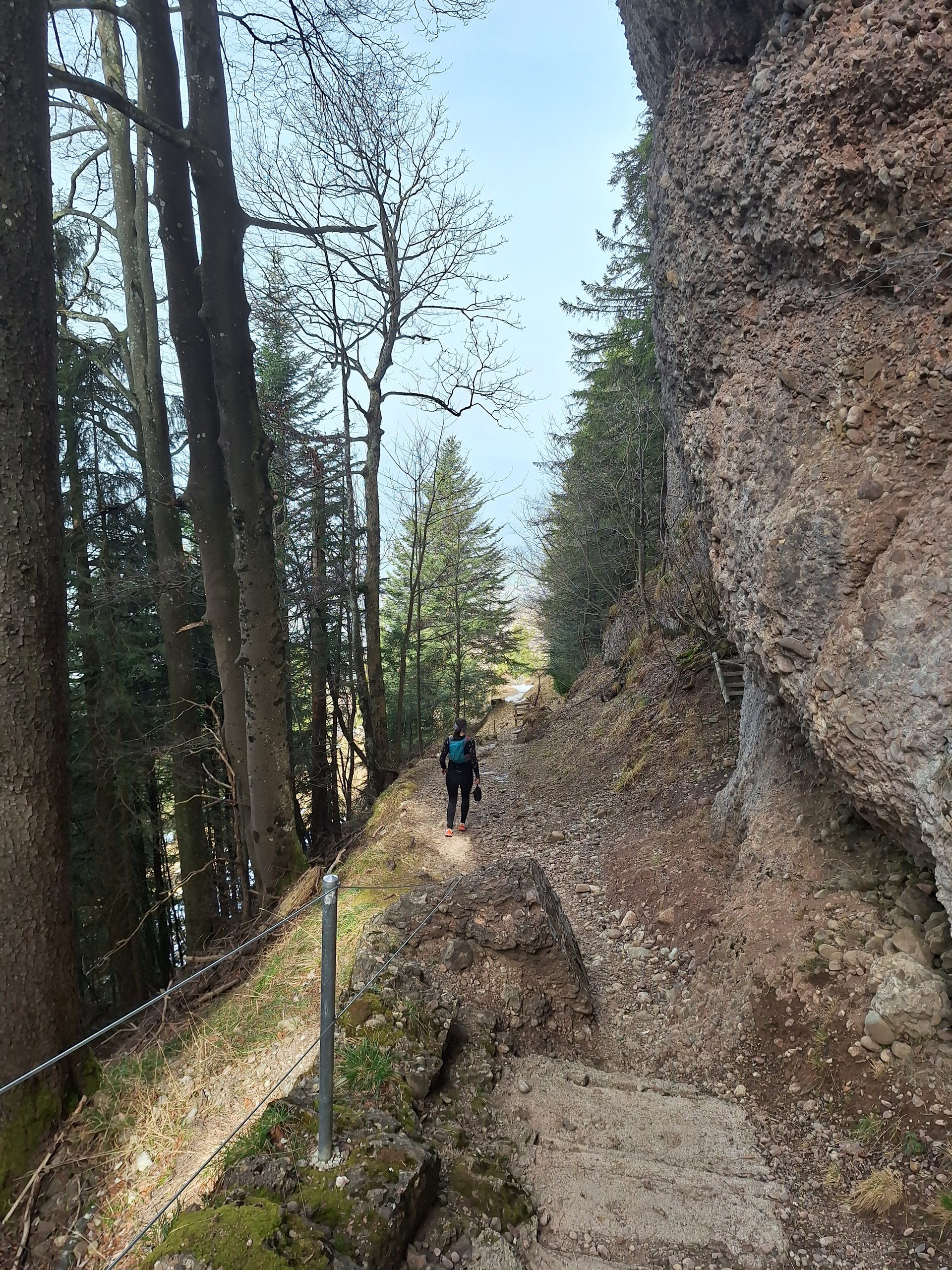 Vierwaldstättersee-Umrundung – Etappe 6, Rigi Überschreitung – Bild 19