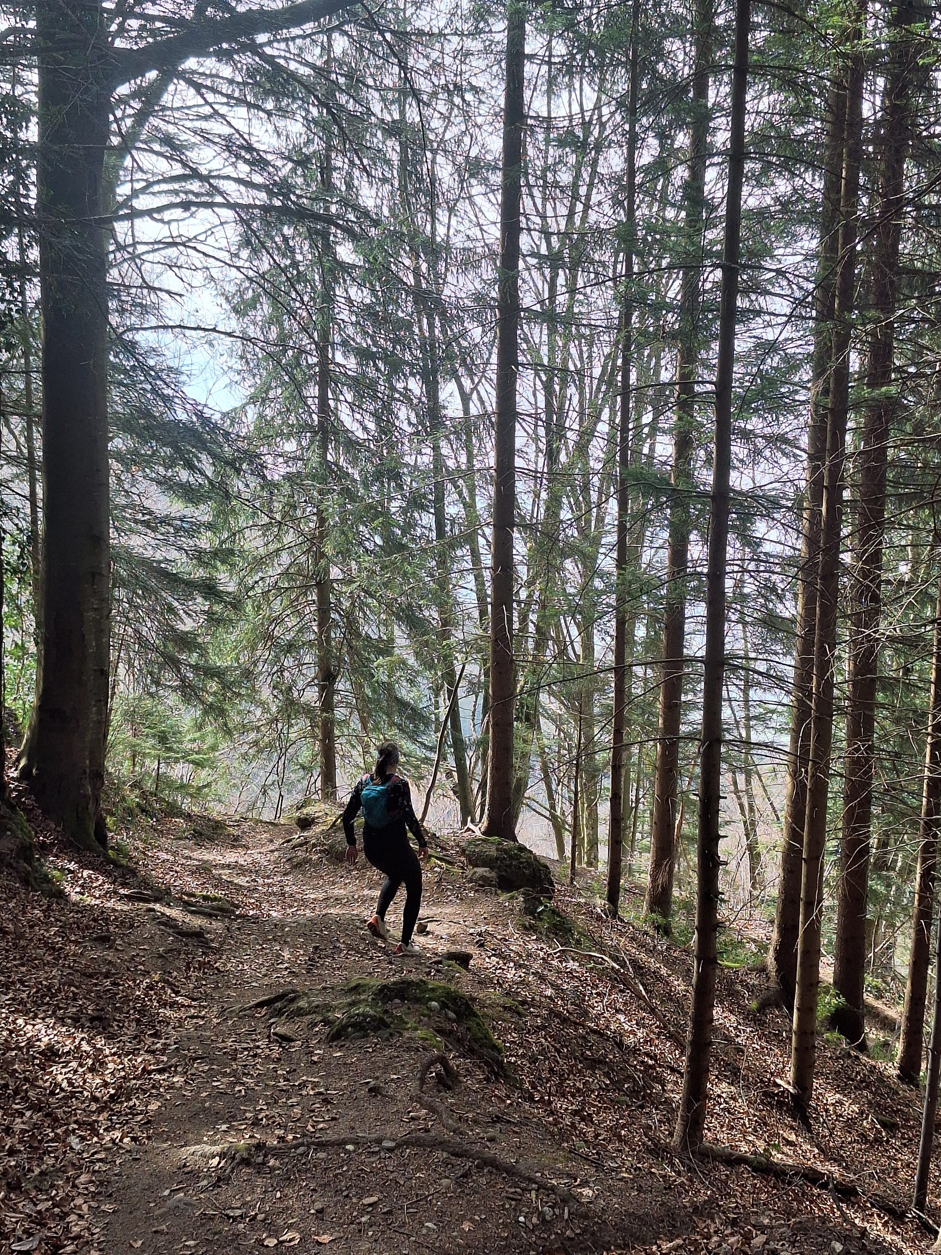 Vierwaldstättersee-Umrundung – Etappe 6, Rigi Überschreitung – Bild 20