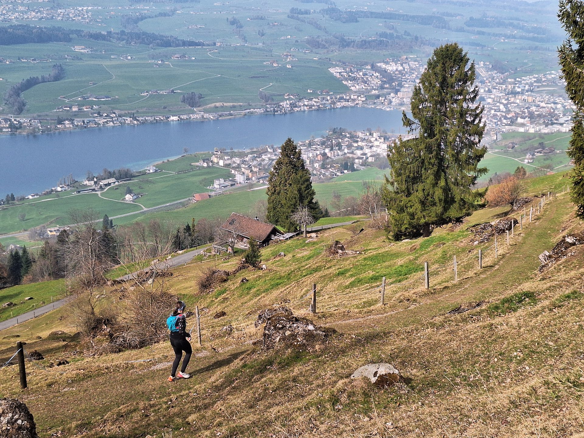 Vierwaldstättersee-Umrundung – Etappe 6, Rigi Überschreitung – Bild 21